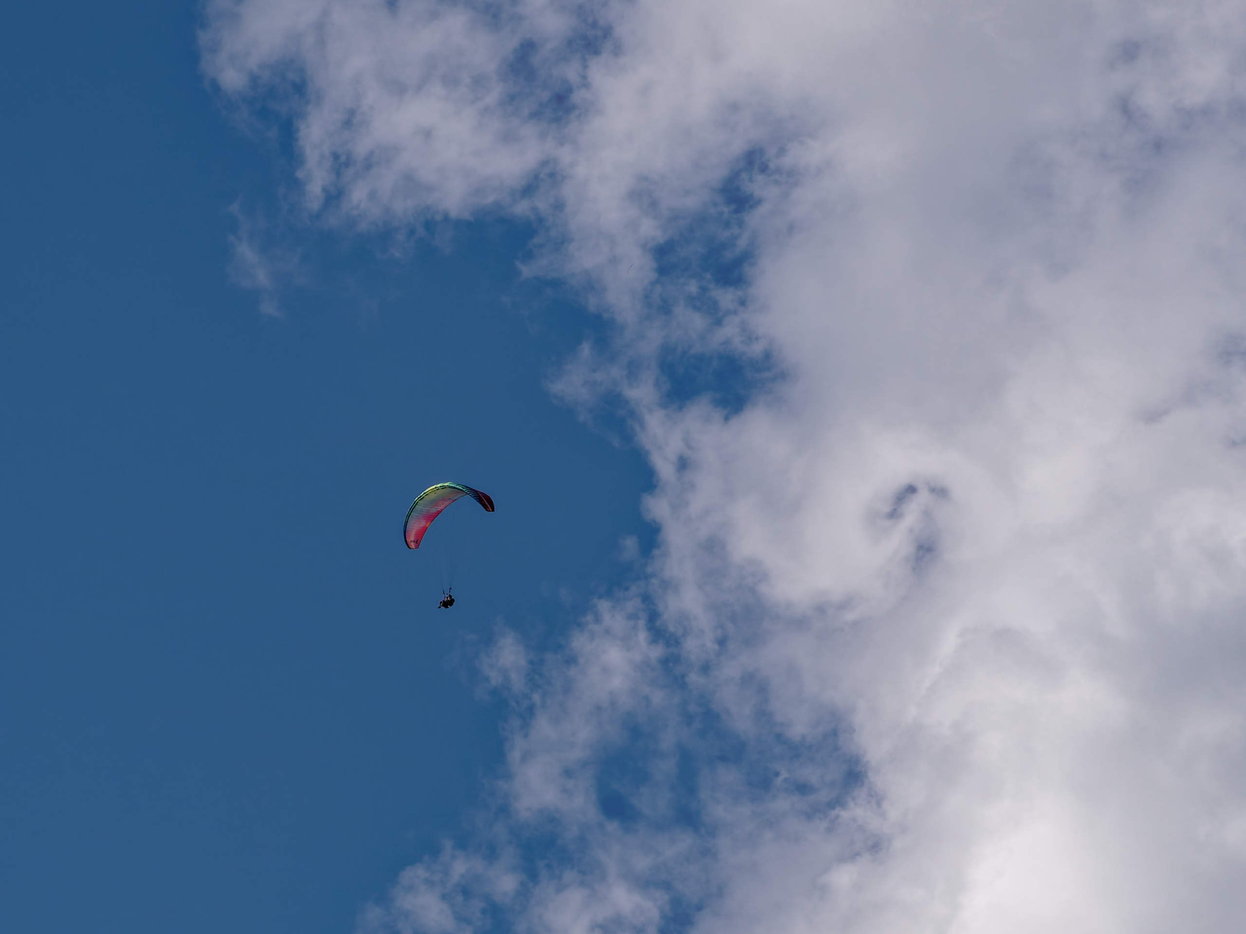 Алания 2025, город, стрит-фото. Избранные фотографии