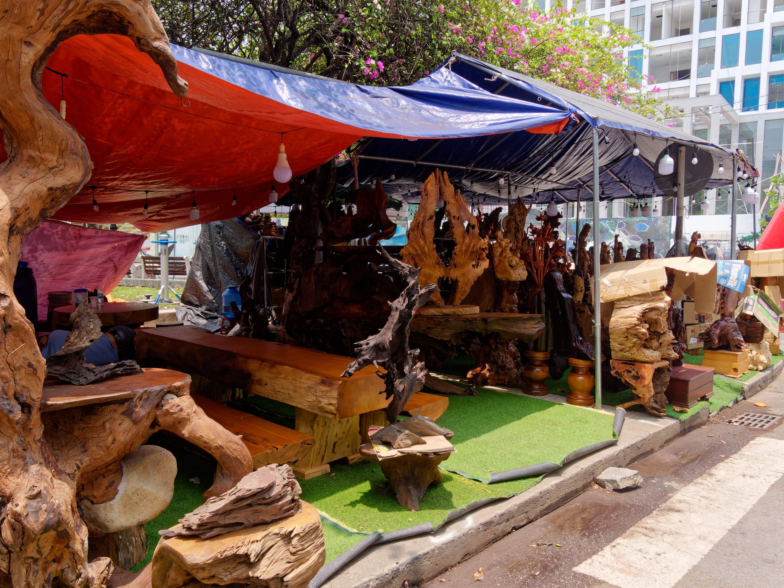 Нячанг 2025 (7). Избранные фотографии