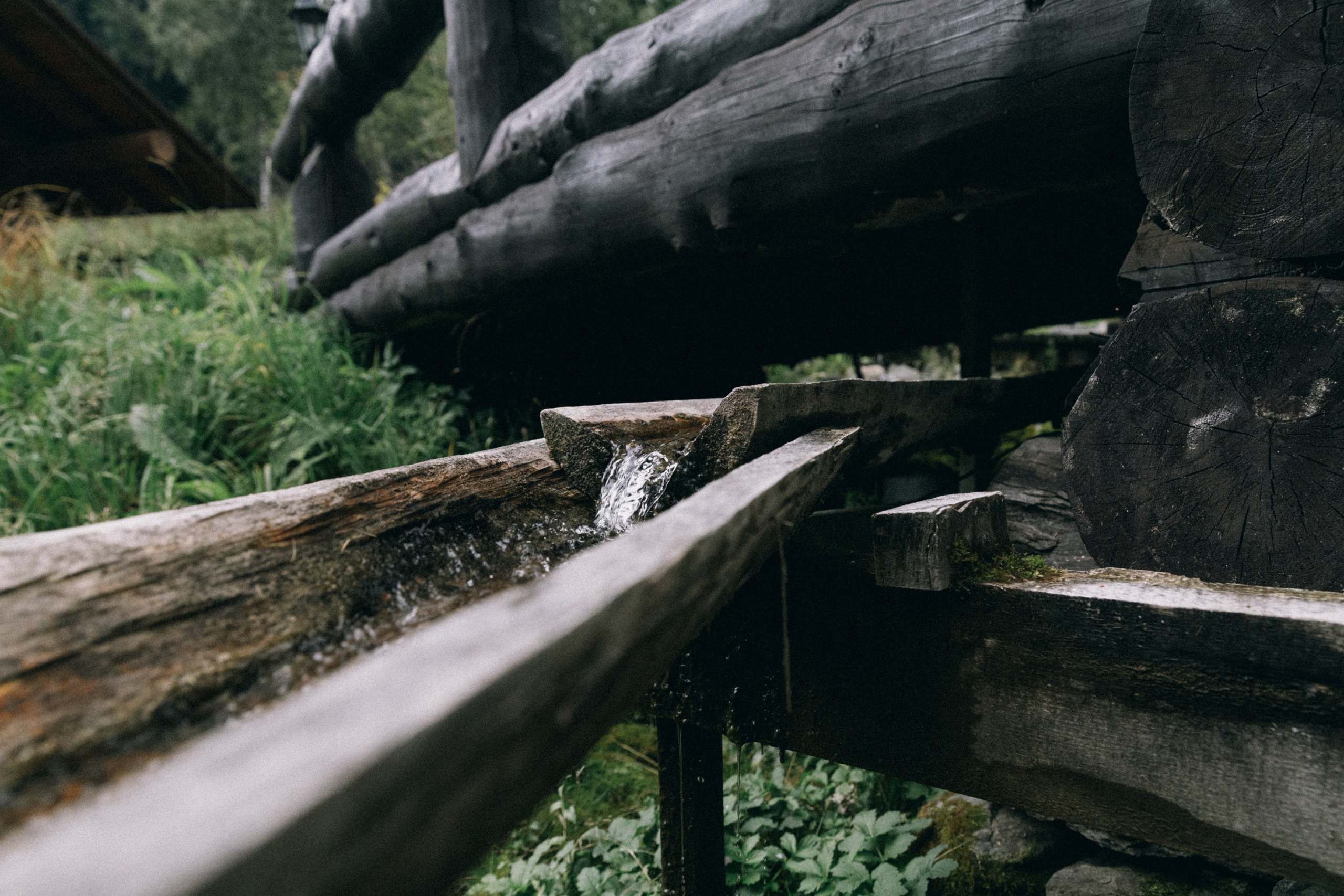 Алтай, природа и эстетика. Александр Чернин. Семейный и событийный фотограф