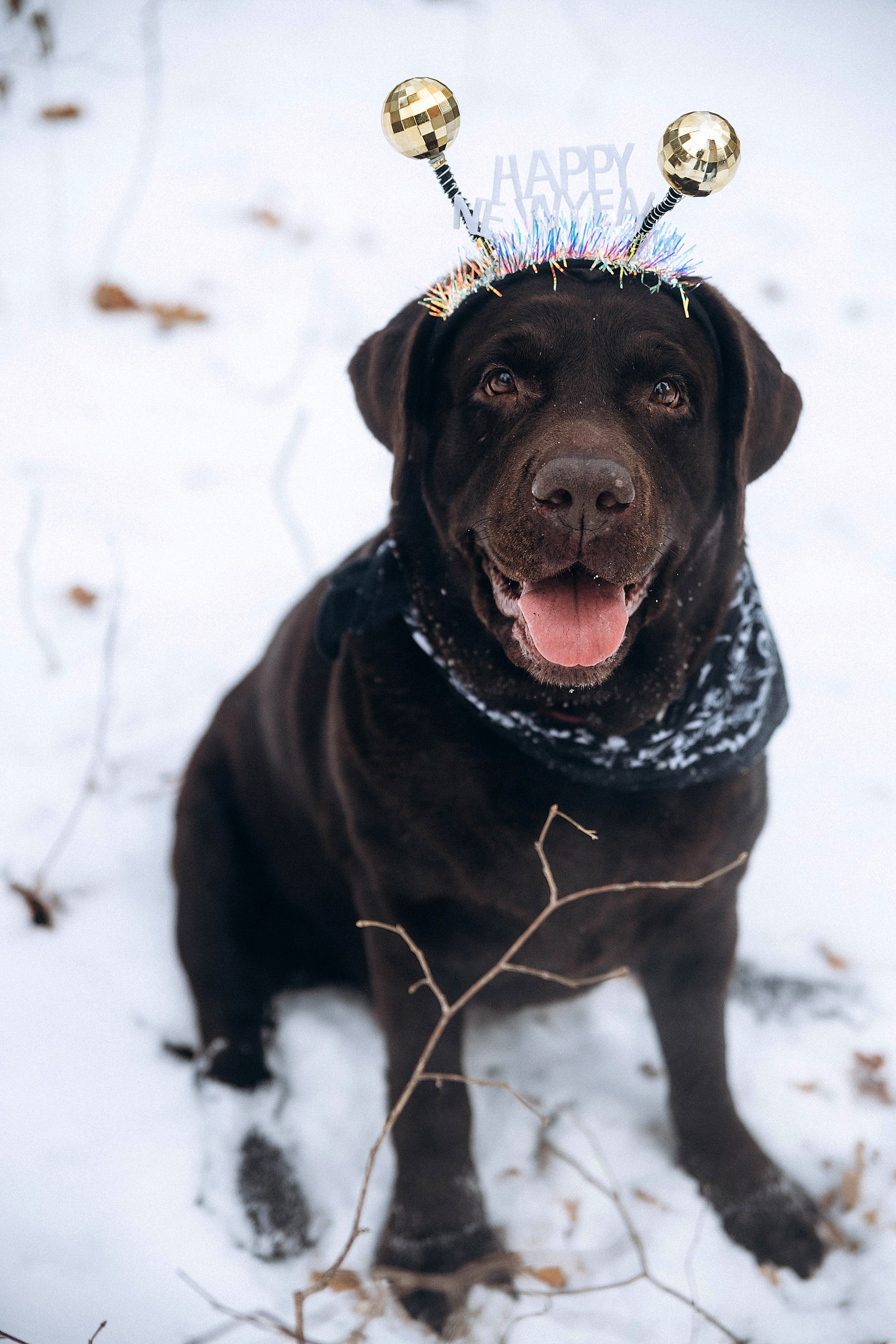 Портреты. ФОТОГРАФ ВЛАДИВОСТОК