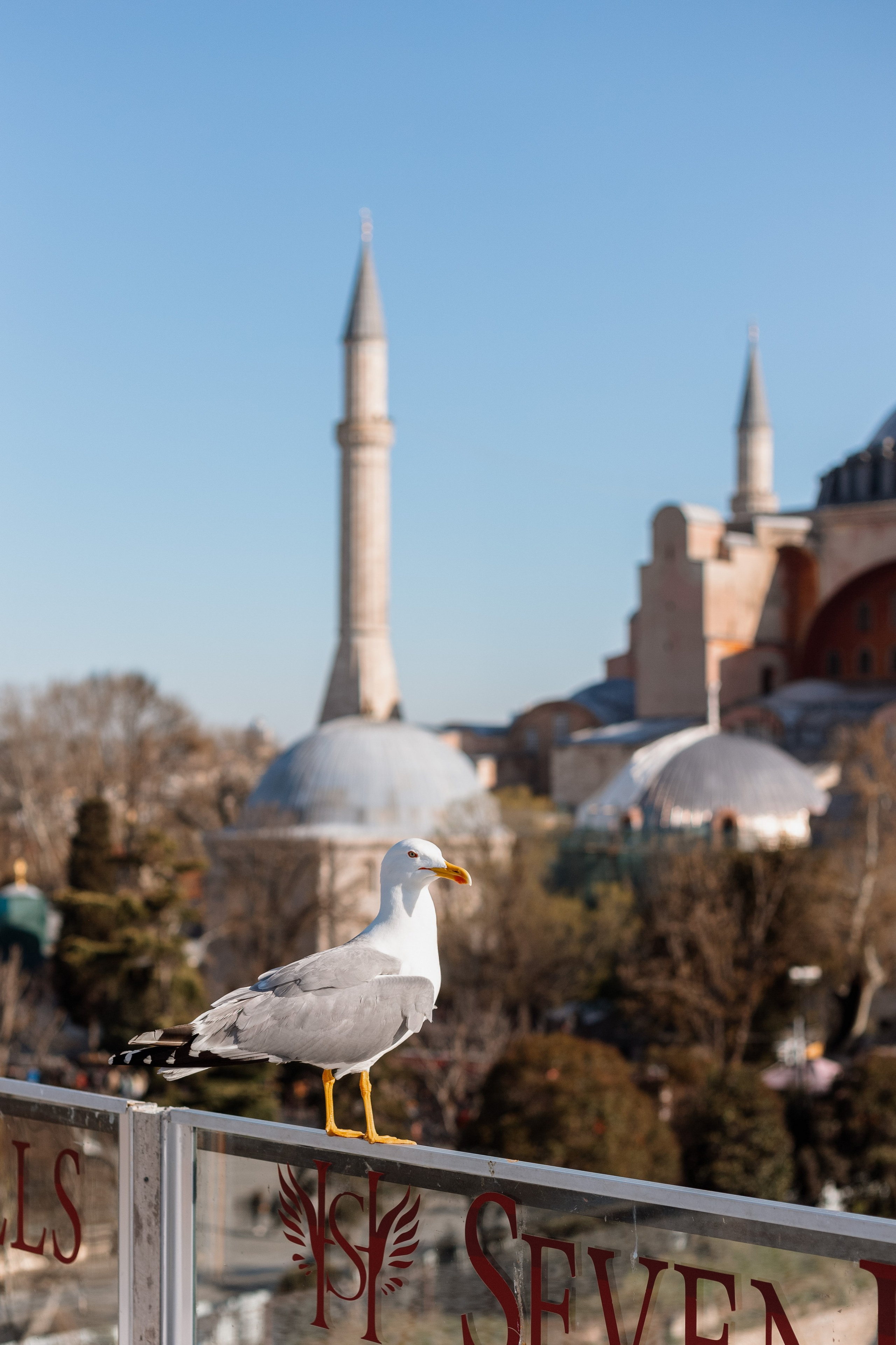 Аксинья+Илья. Женский и семейный фотограф в Стамбуле и Москве
