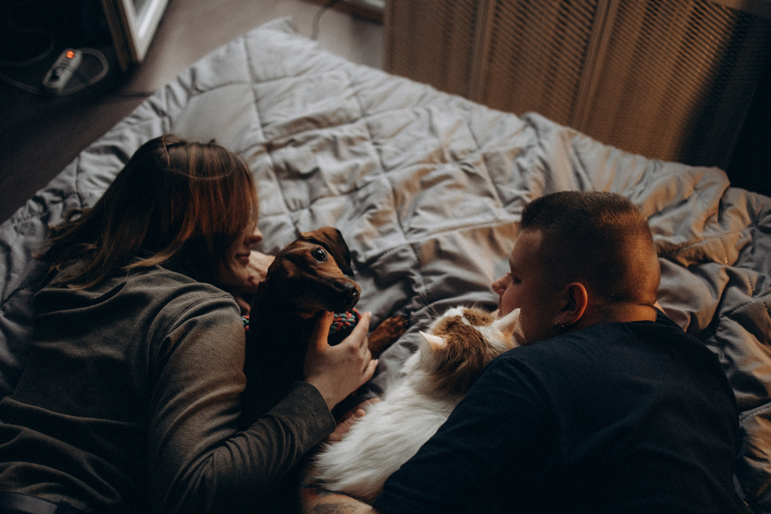 Маша и ее семья. Фотораф — анималист Мария Шистка