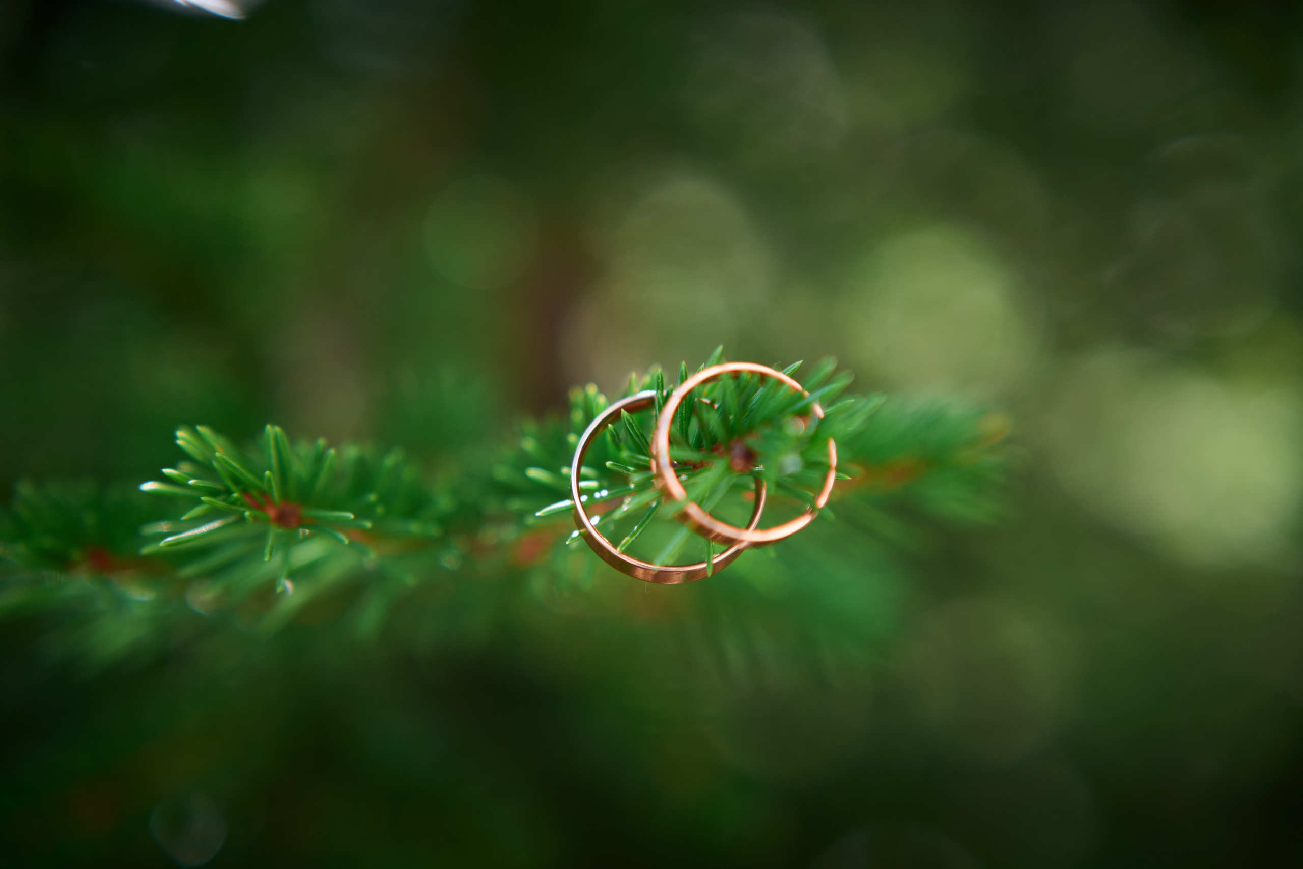 Олег и Ирина. Фотограф видеограф Руслан Михайлов Томск