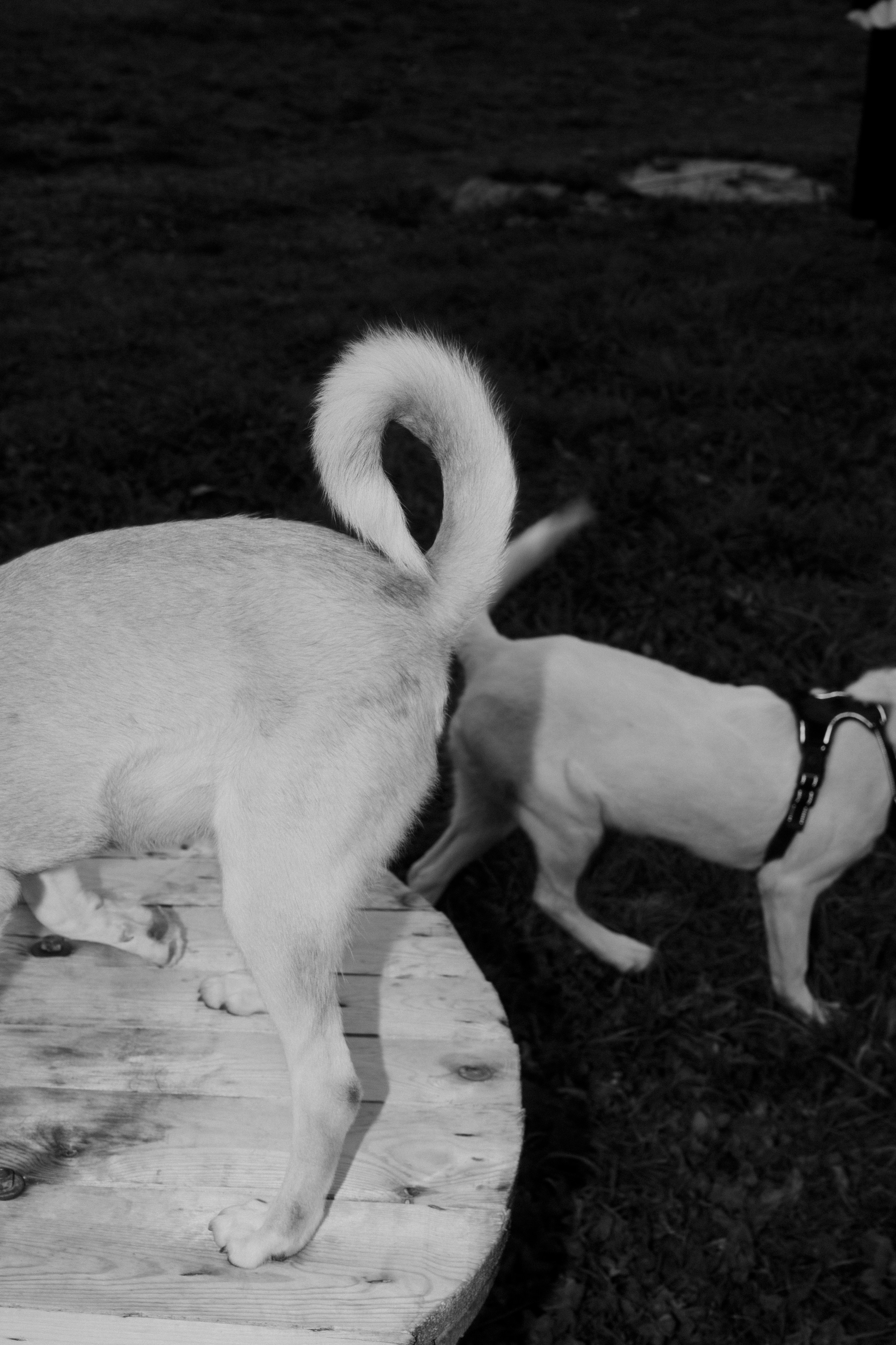 Улица Балтийская. Veronika Popadeikina Photographer