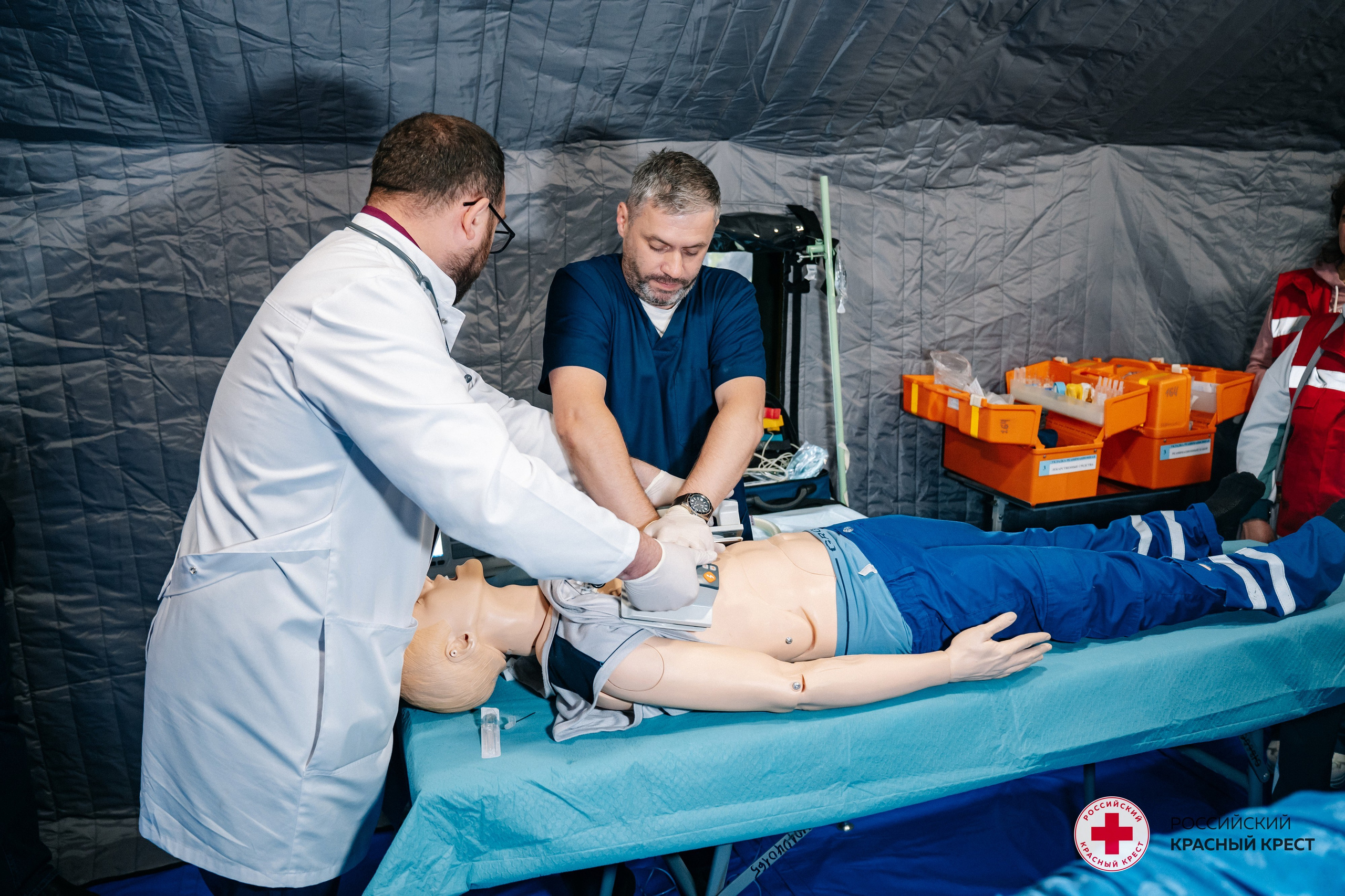 Красный крест | Дегас, медвежья берлога. Фотограф в Воронеже Ольга Космодемьянская