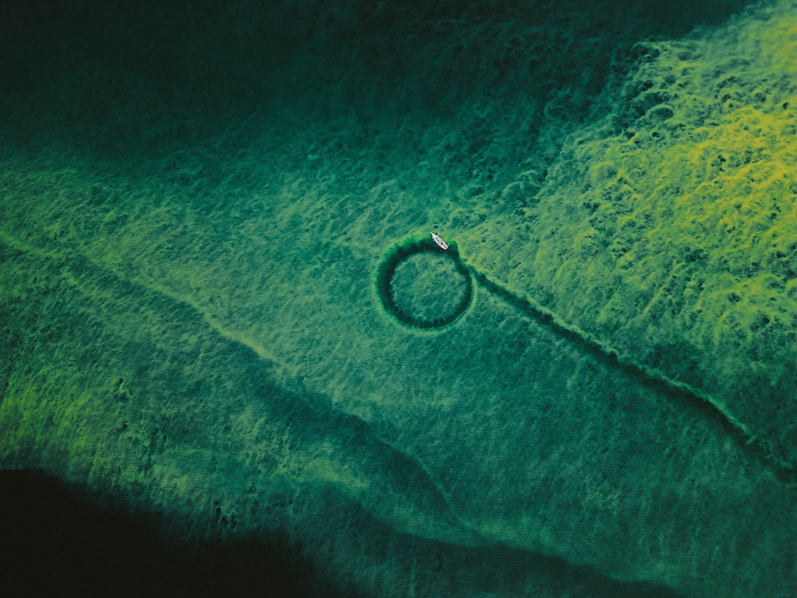 Airphoto. Николай Филиппов Event & Concert Photographer Москвf