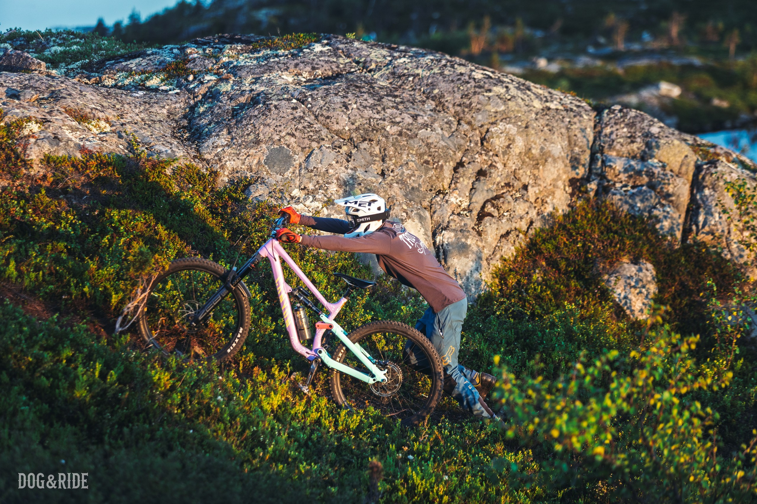 Кандалакшка. Фотограф анималист Никита Натальный