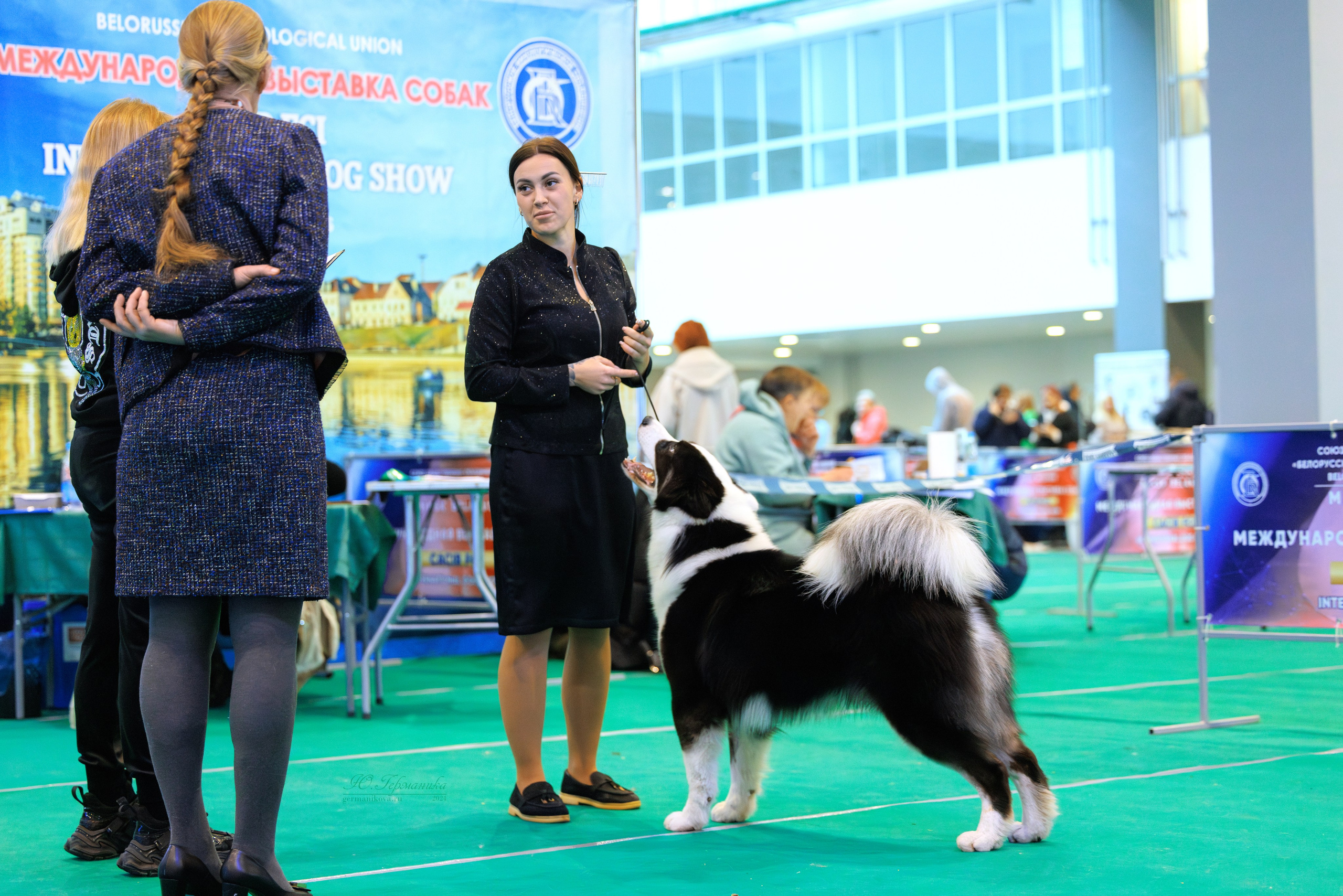 Минск 23.11.2024. Фотограф-анималист Юлия Германика
