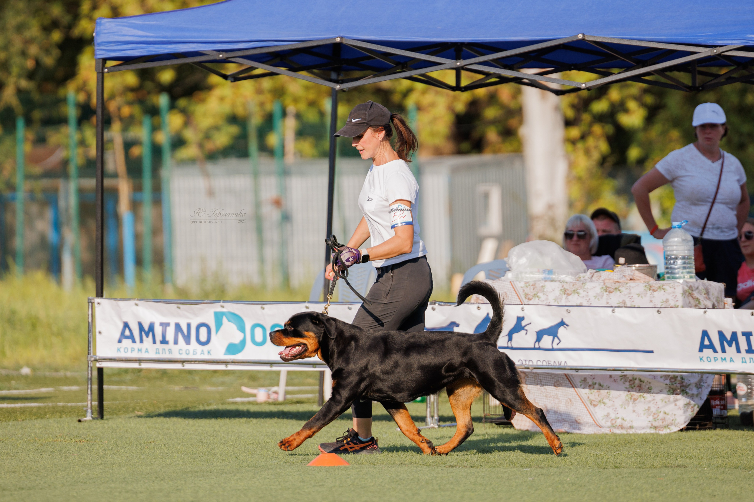 Анапа ротвейлеры 14-15.09.2024. Фотограф-анималист Юлия Германика