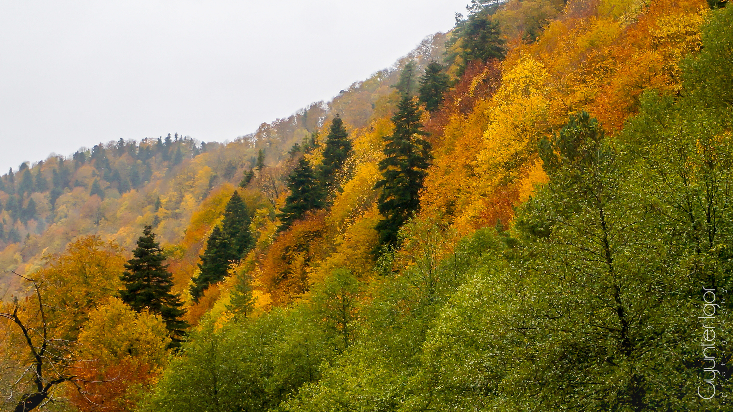 TRAVEL. Фотограф Гюнтер Игорь