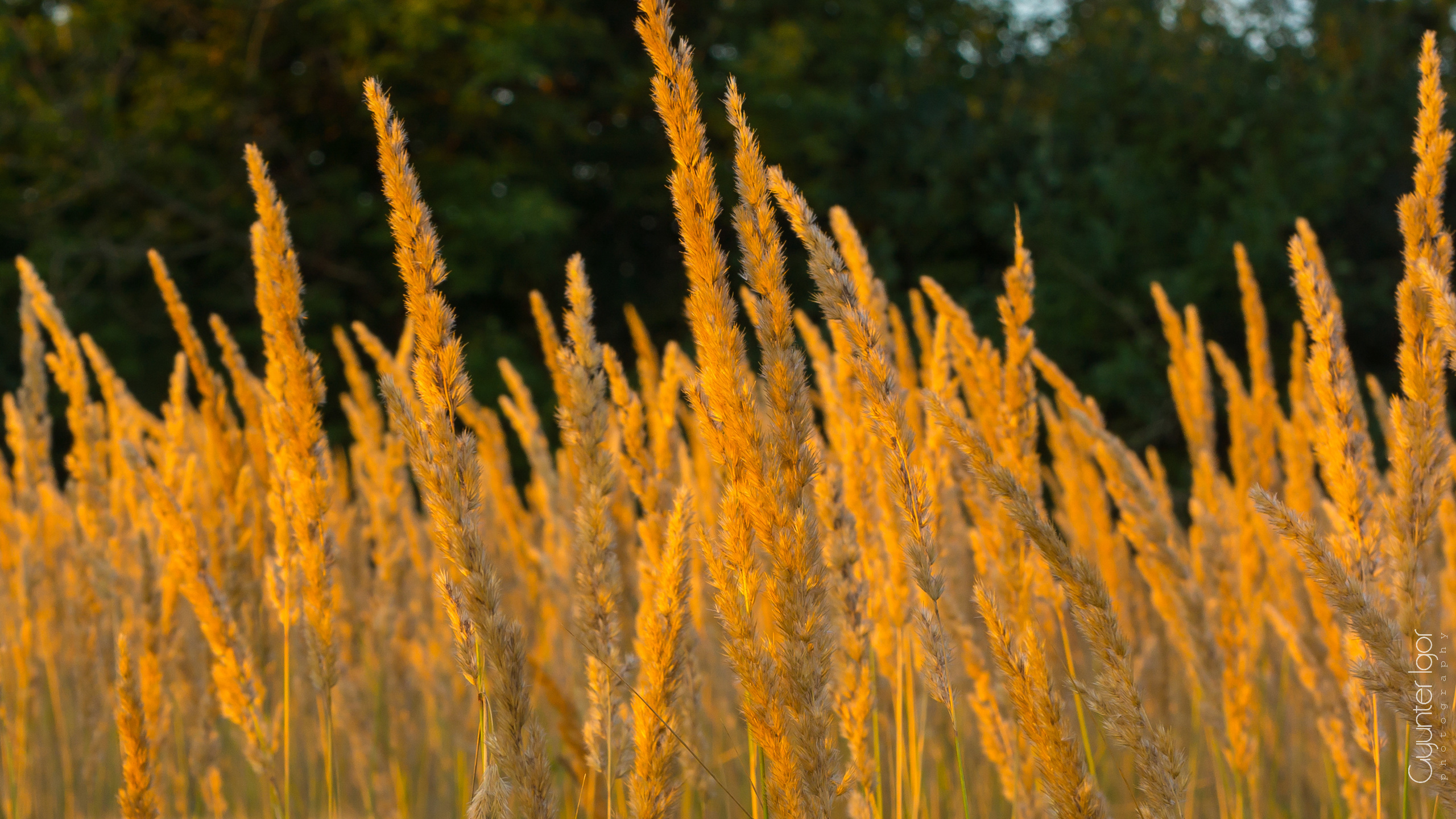 TRAVEL. Фотограф Гюнтер Игорь