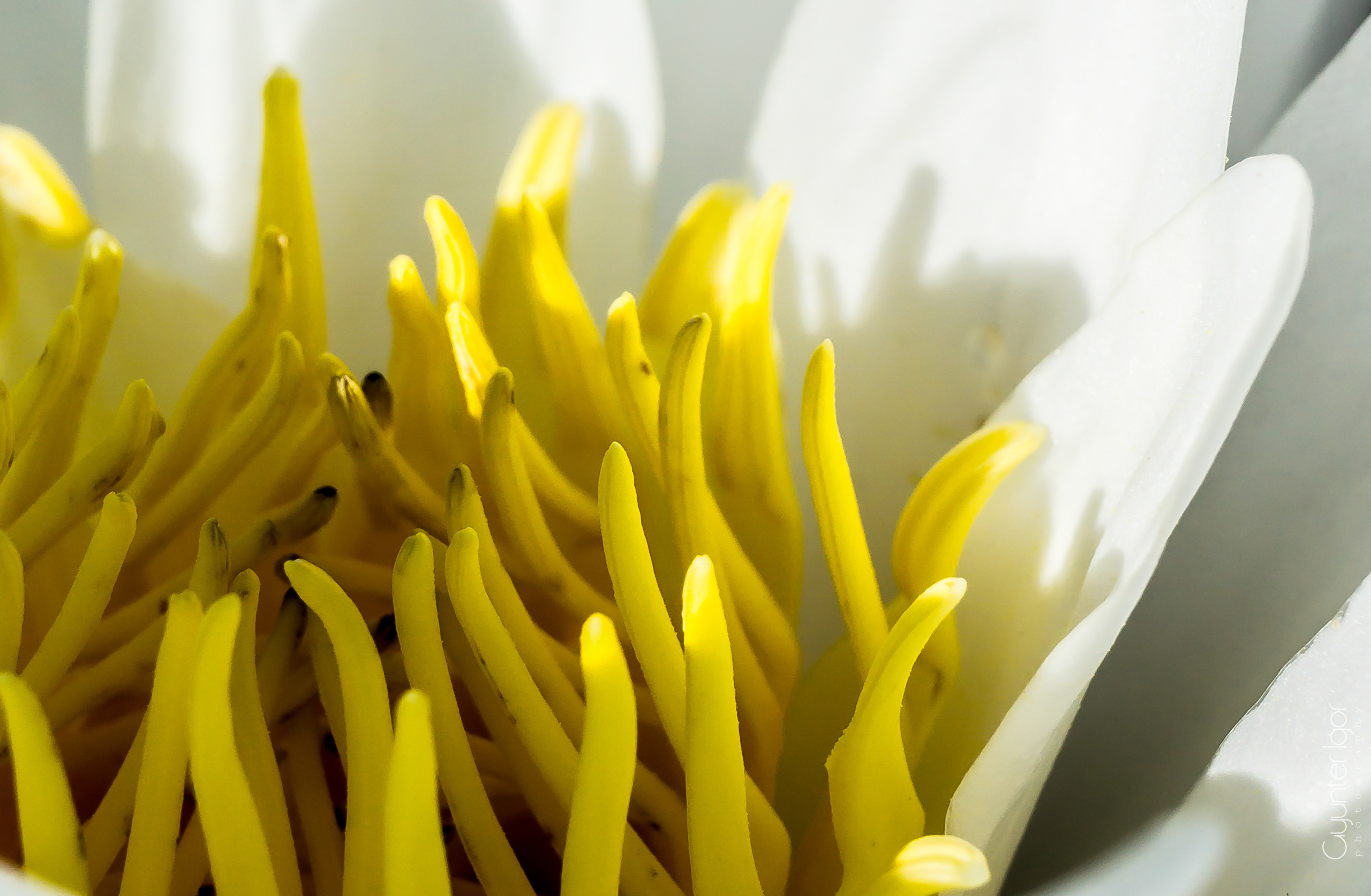 TRAVEL. Фотограф Гюнтер Игорь