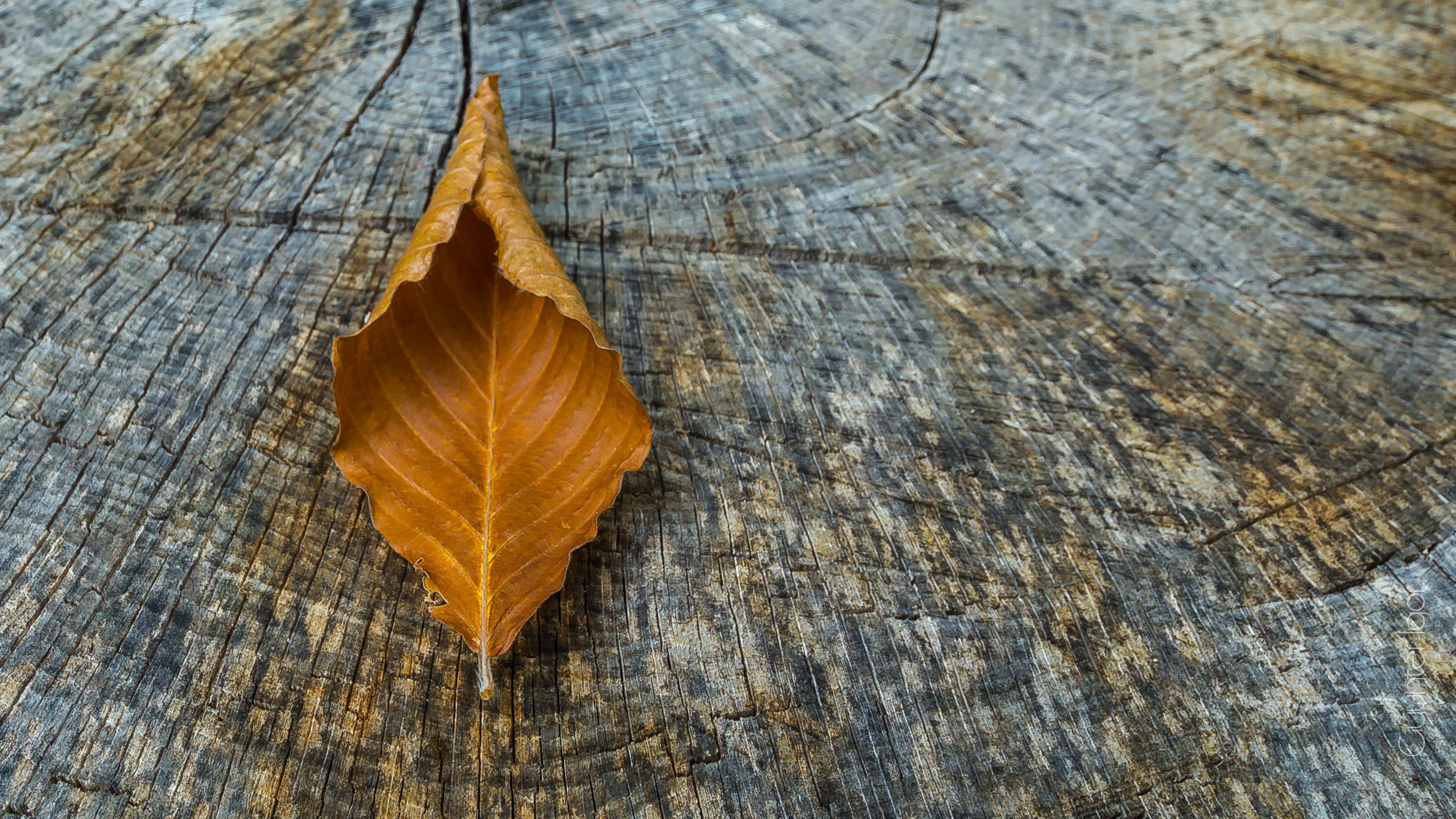 TRAVEL. Фотограф Гюнтер Игорь