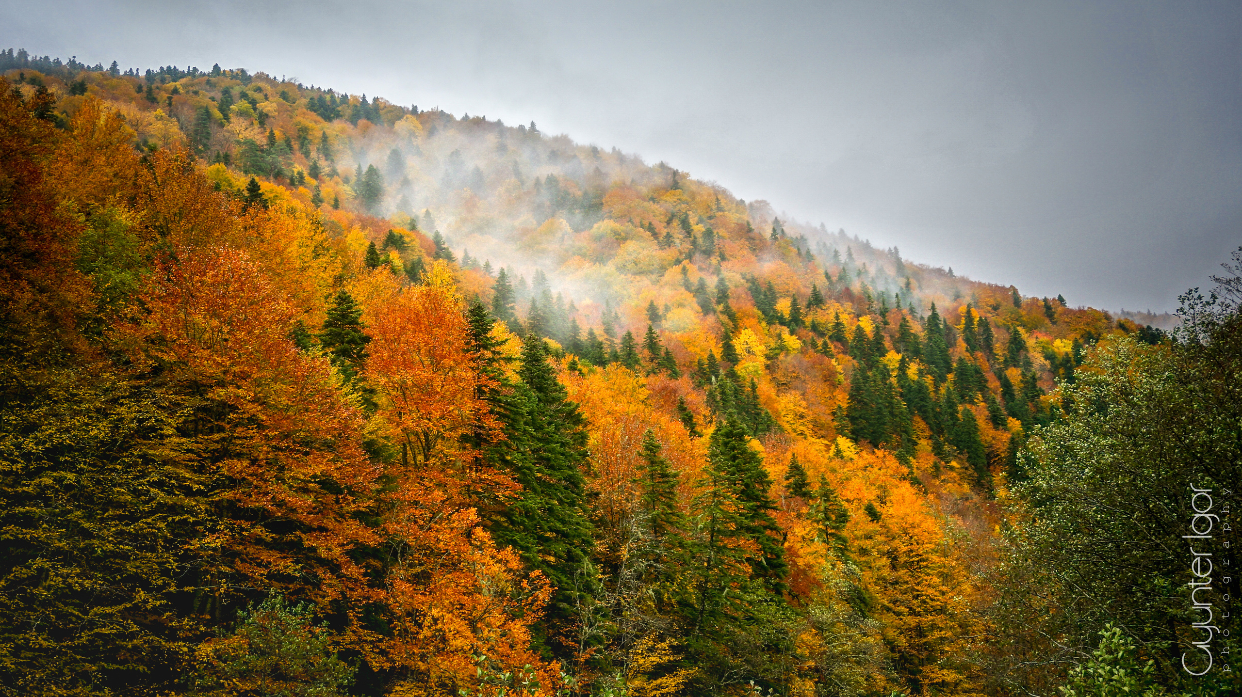 TRAVEL. Фотограф Гюнтер Игорь
