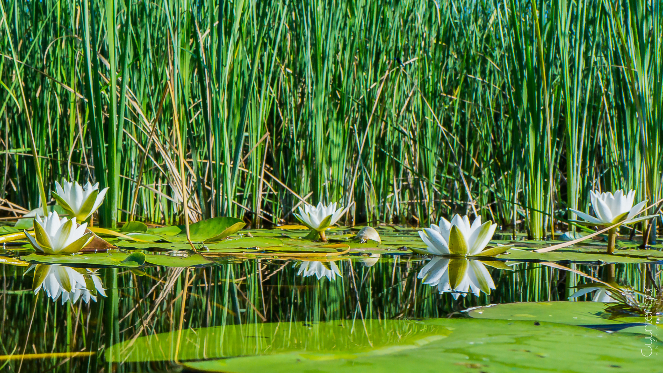 TRAVEL. Фотограф Гюнтер Игорь