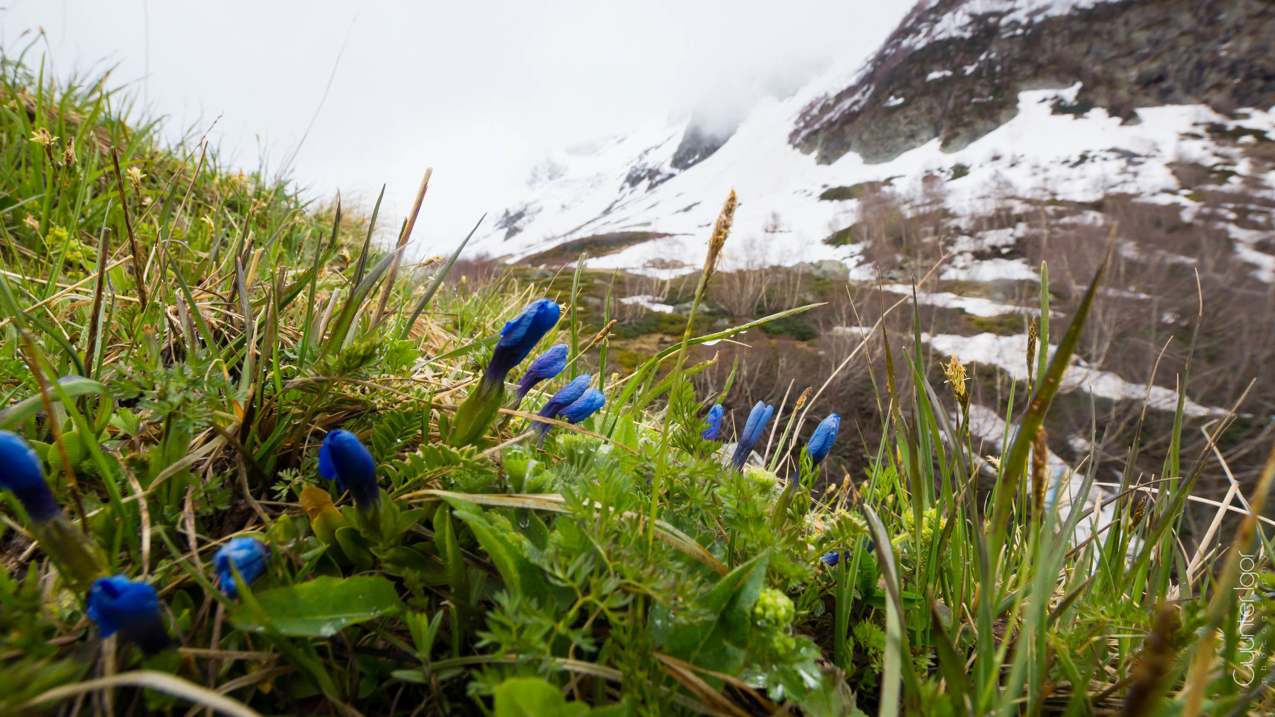 TRAVEL. Фотограф Гюнтер Игорь