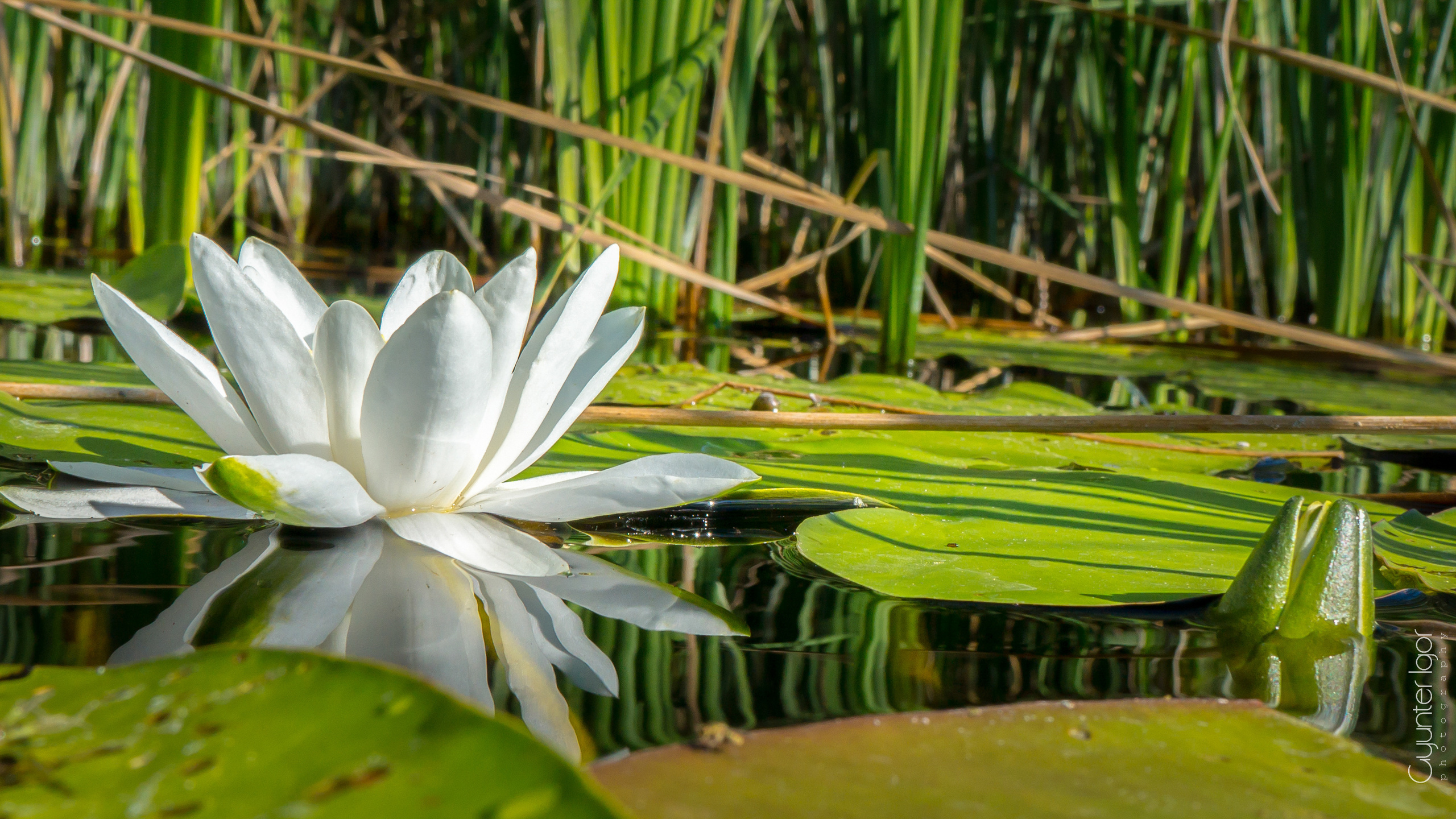 TRAVEL. Фотограф Гюнтер Игорь