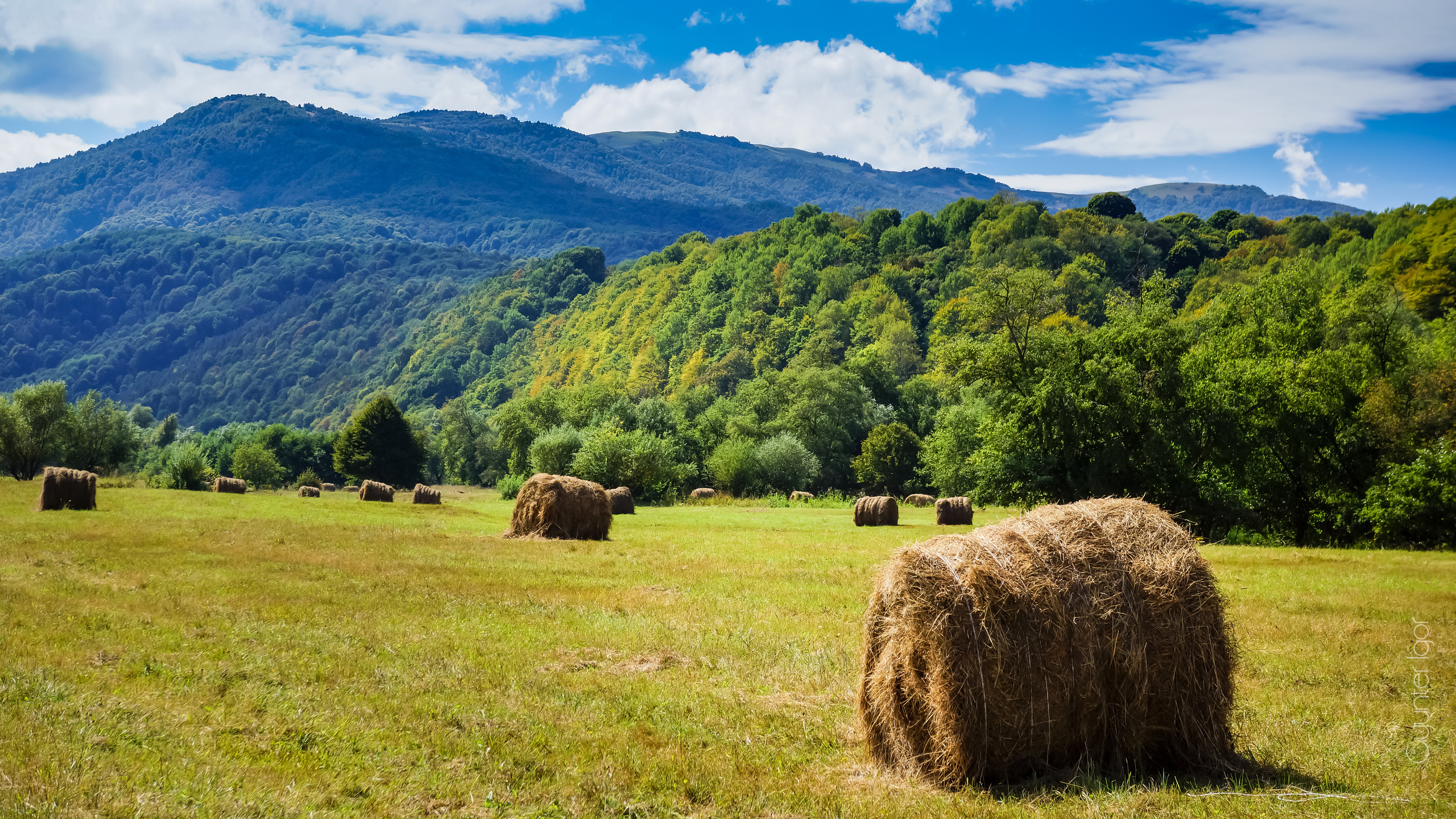 TRAVEL. Фотограф Гюнтер Игорь
