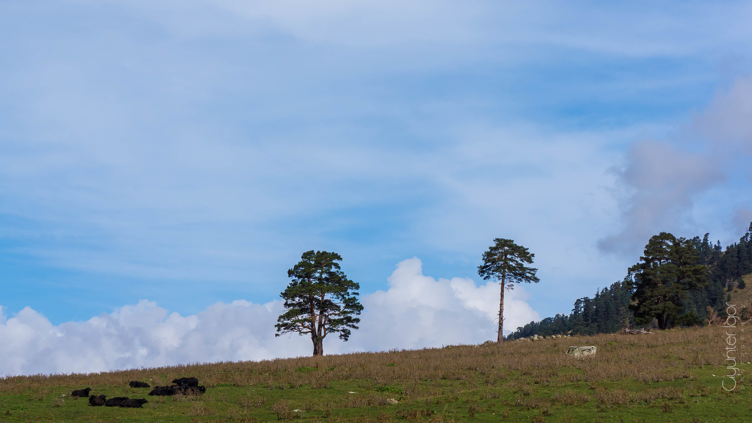 TRAVEL. Фотограф Гюнтер Игорь
