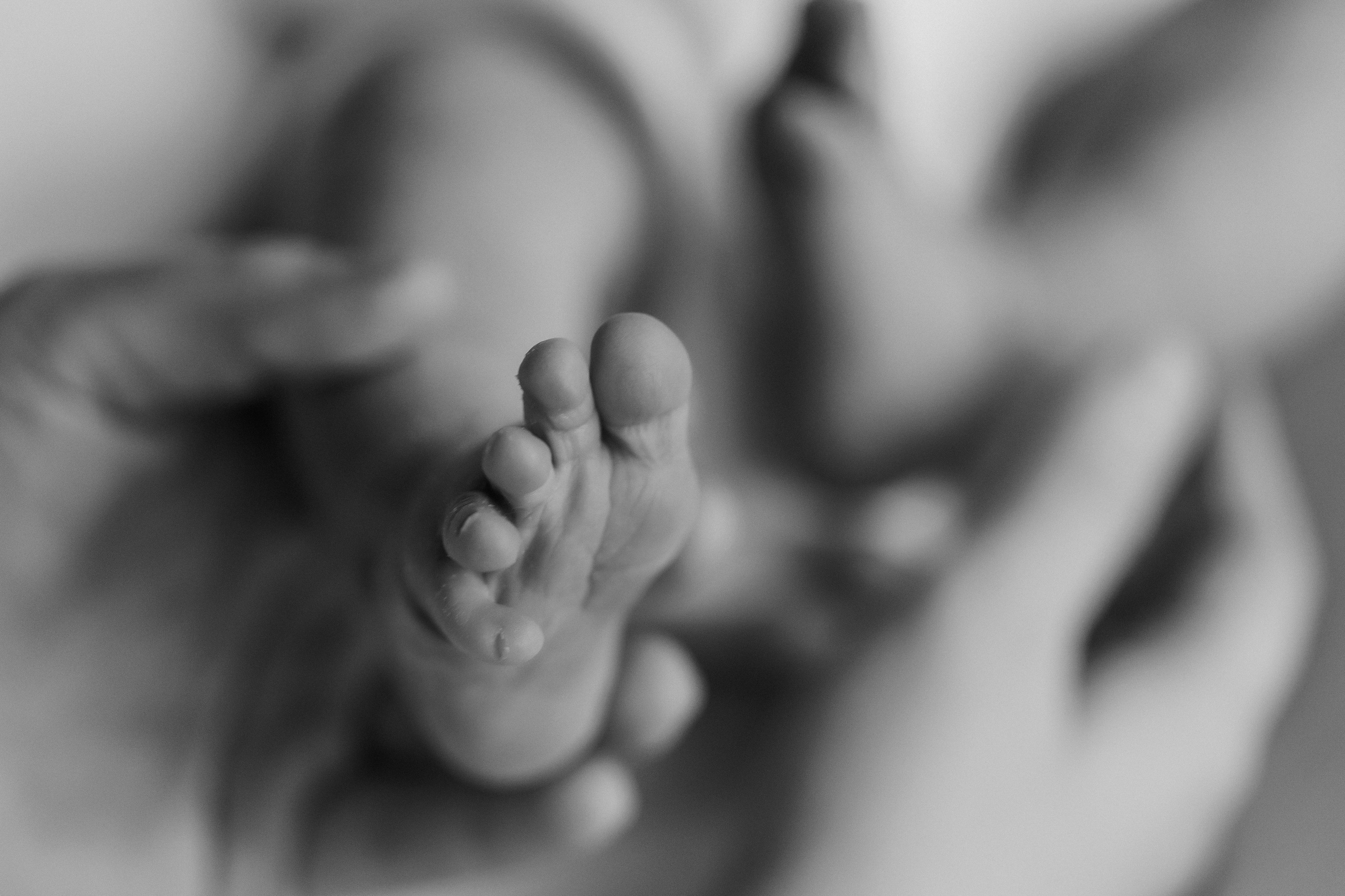 Новорожденные. Кристина Москвина. Портретный фотограф