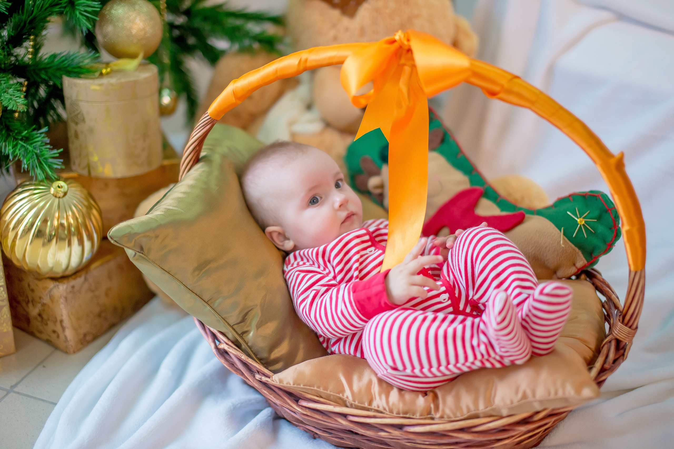 Детская фотосессия. Максим Матвийченко и Виктория Басова профессионалы своего дела