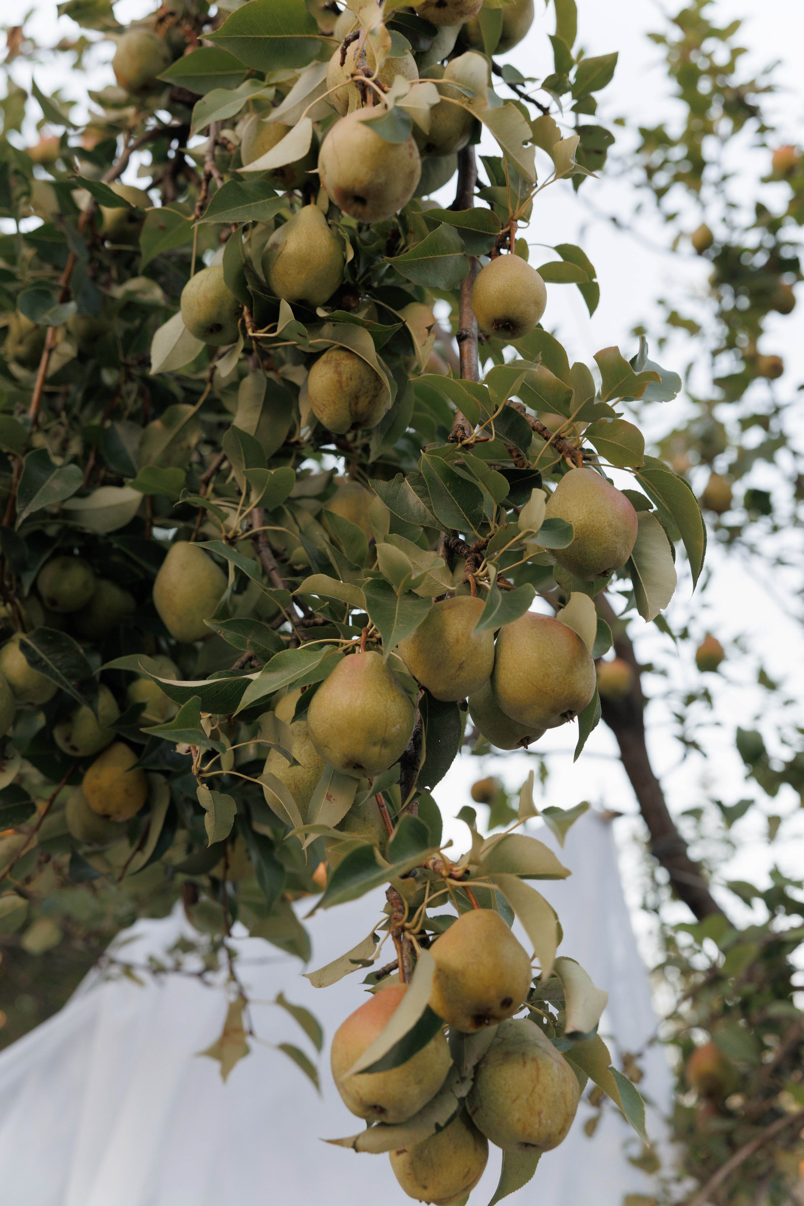 Лиза и Максим. Главная