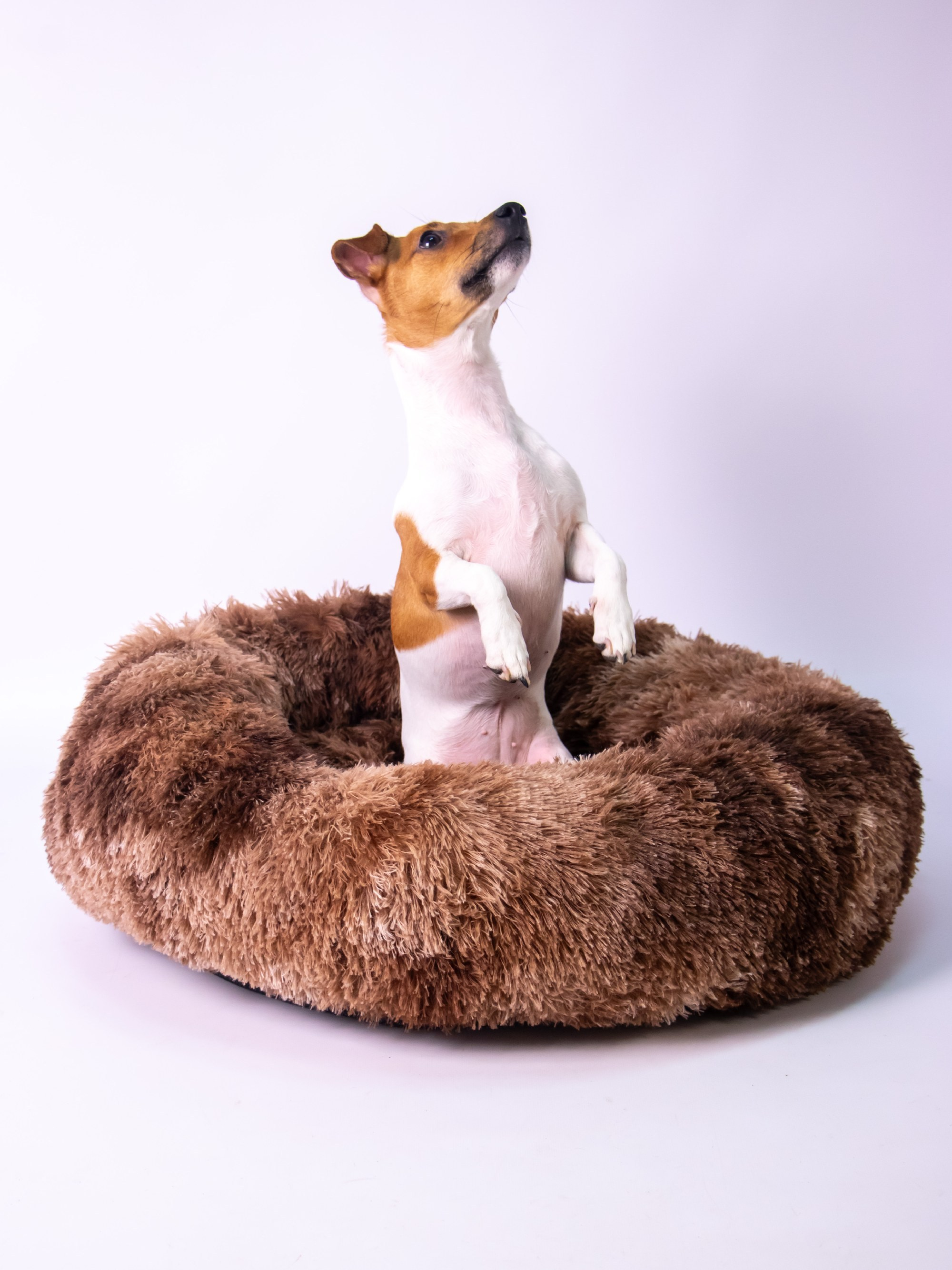 Модельная съемка. Leclerc-studio