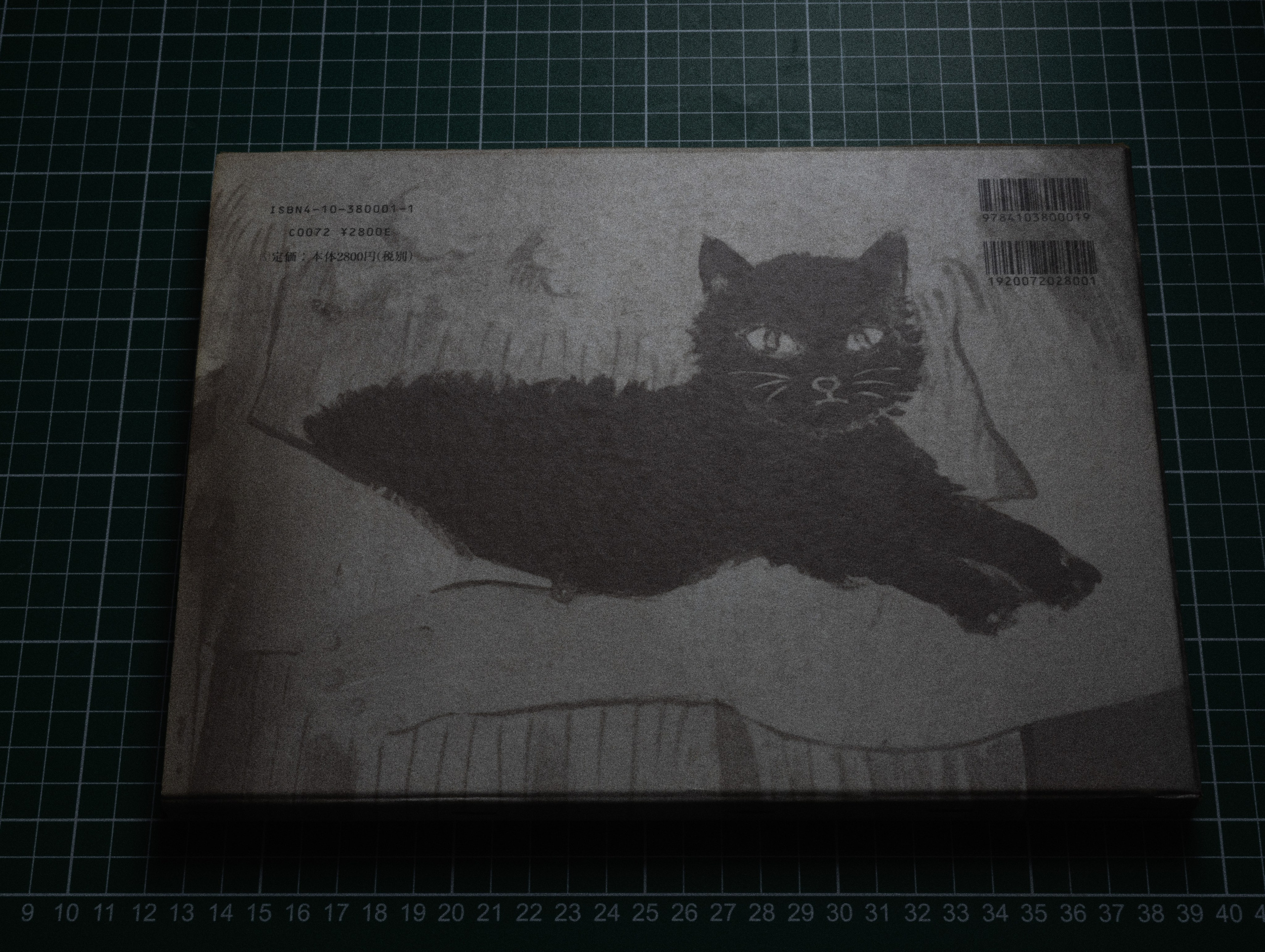 Фотокнижная библиотека Светы Кавериной. Фотограф и исследователь фотографии из Санкт-Петербурга Елизавета Веприцкая