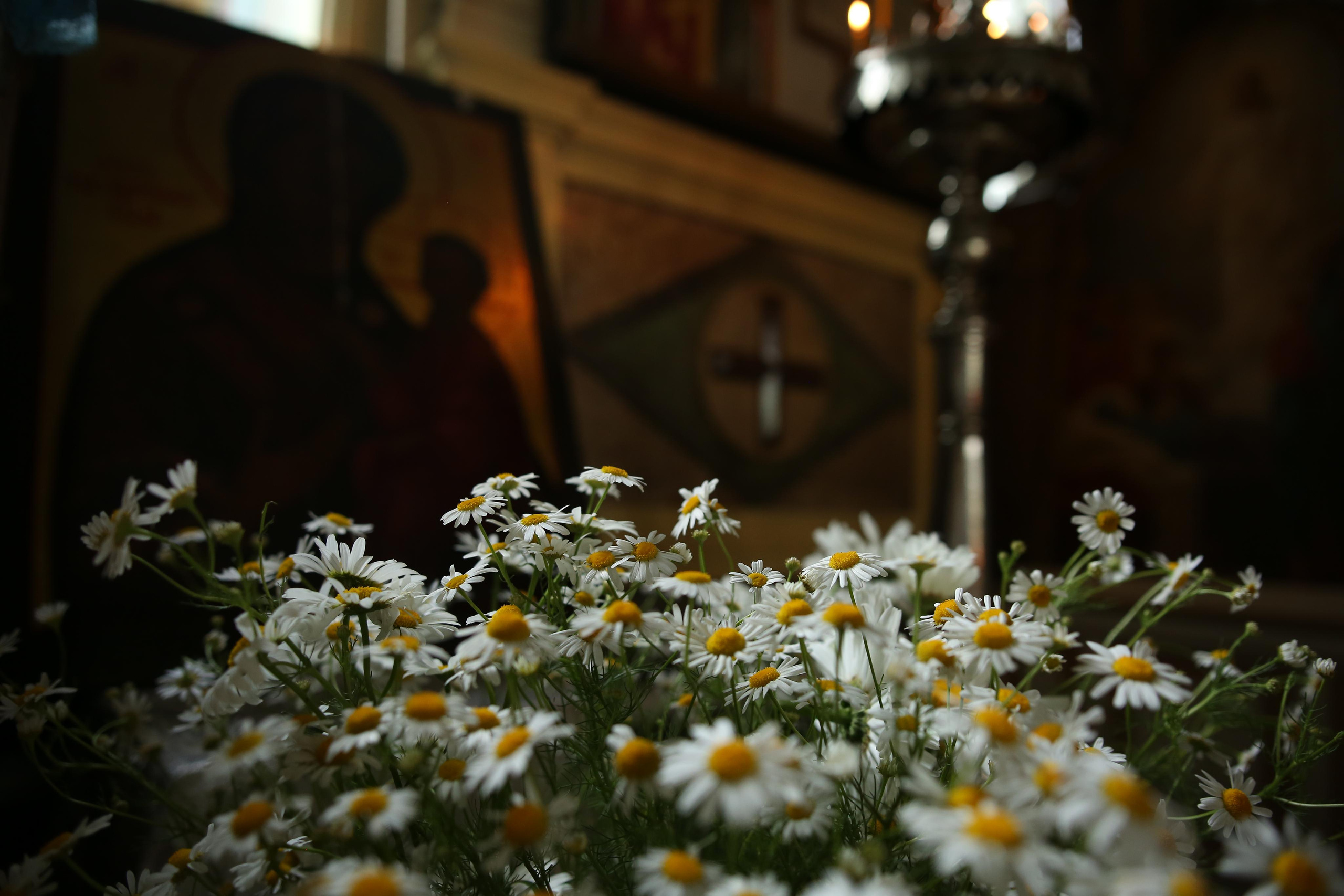 Крестный ход в день памяти Тихвинской иконы Божией Матери. Семейный и детский фотограф Анна Петракова