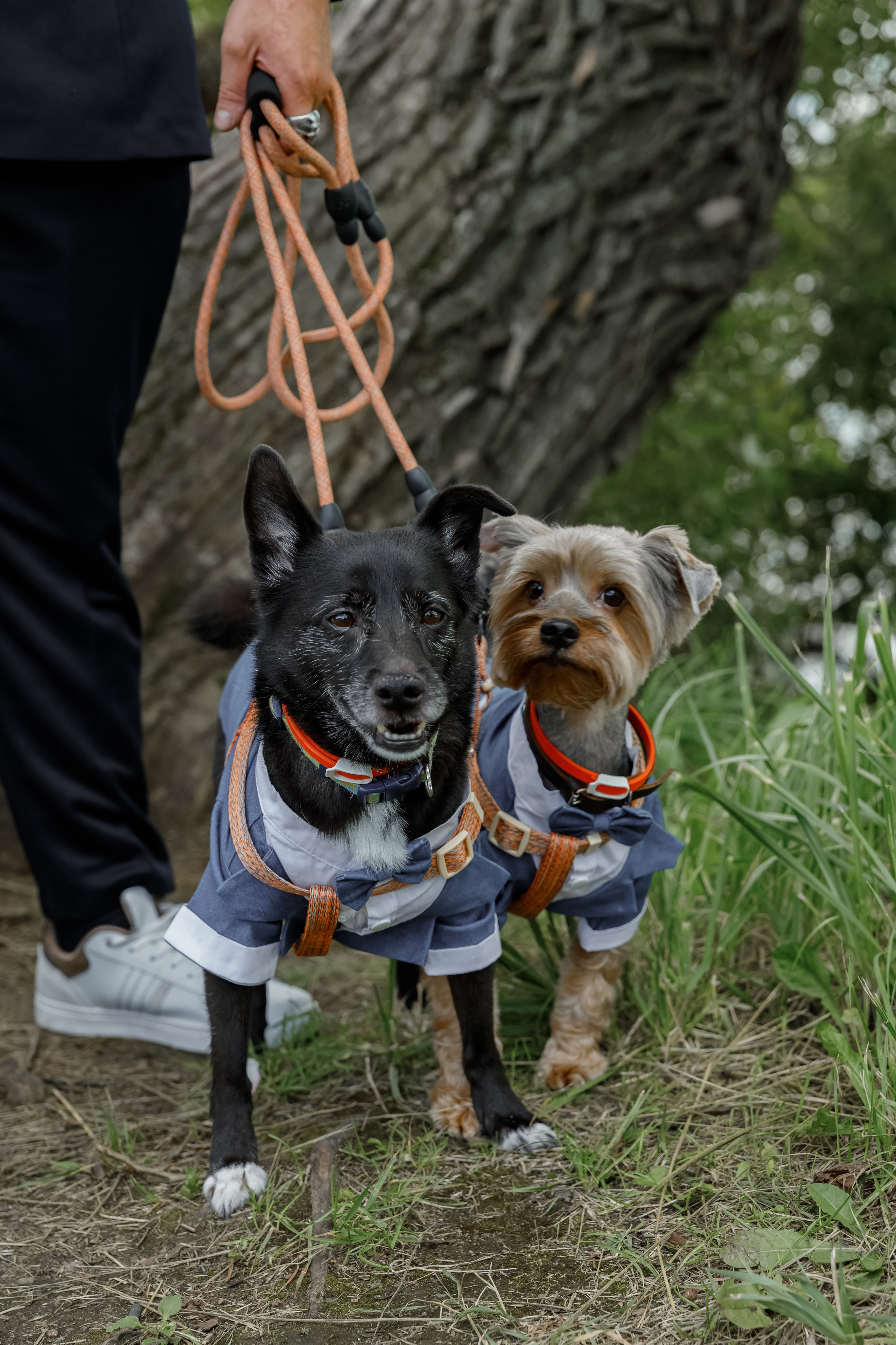 Кирилл и Екатерина. Свадебный фотограф, крещение, венчание СПБ, Белгород Анна Коршунова