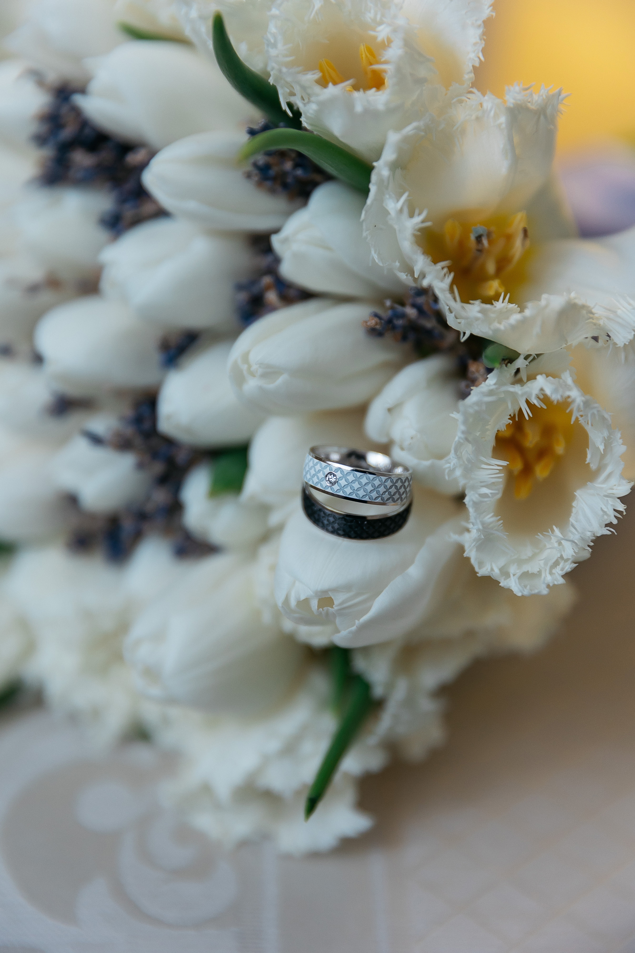 Надя и Никита. Свадебный и семейный фотограф Раменское Жуковский  Александр Зимин