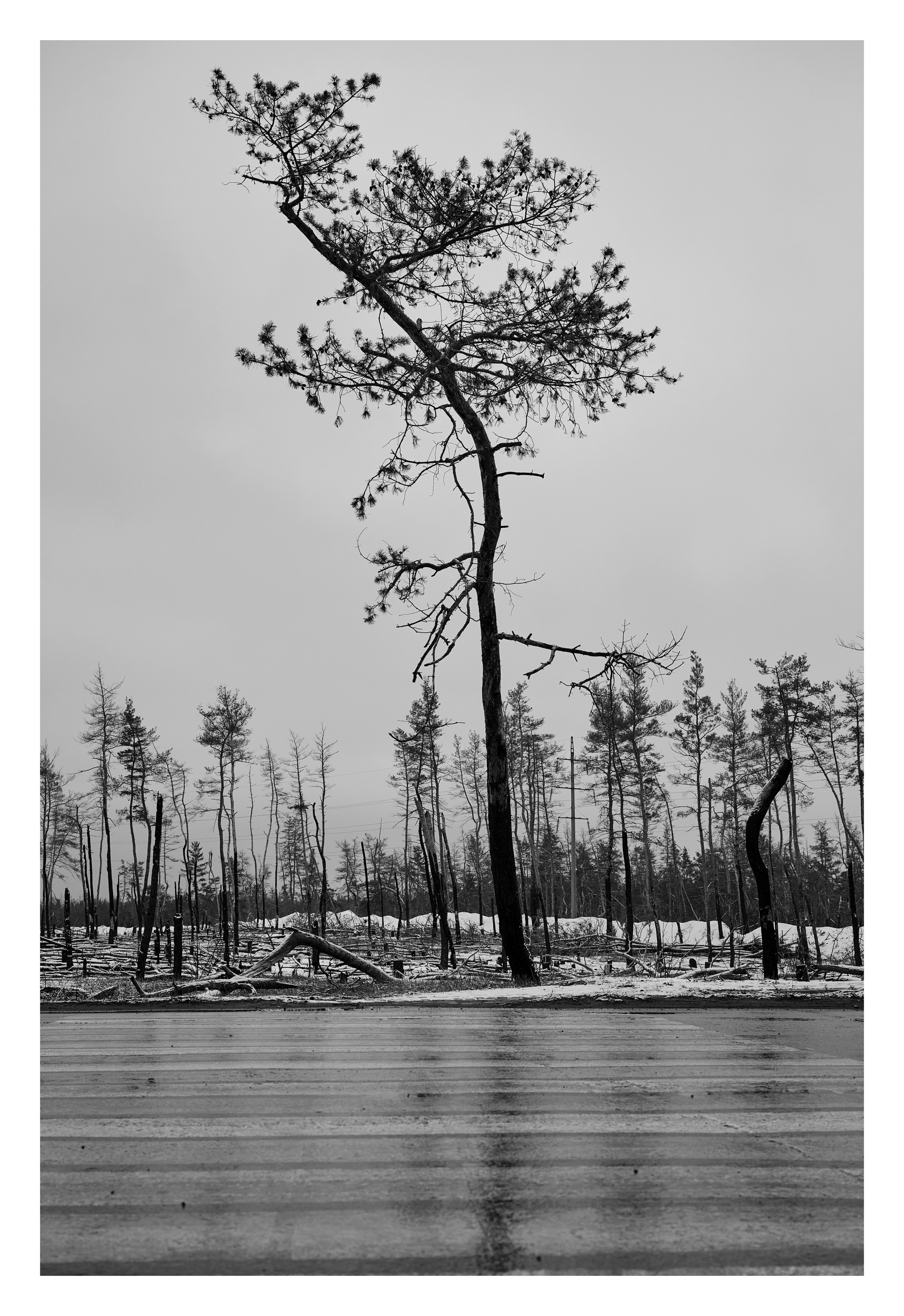 Фотопринты А3. Фотопроект «Территории»