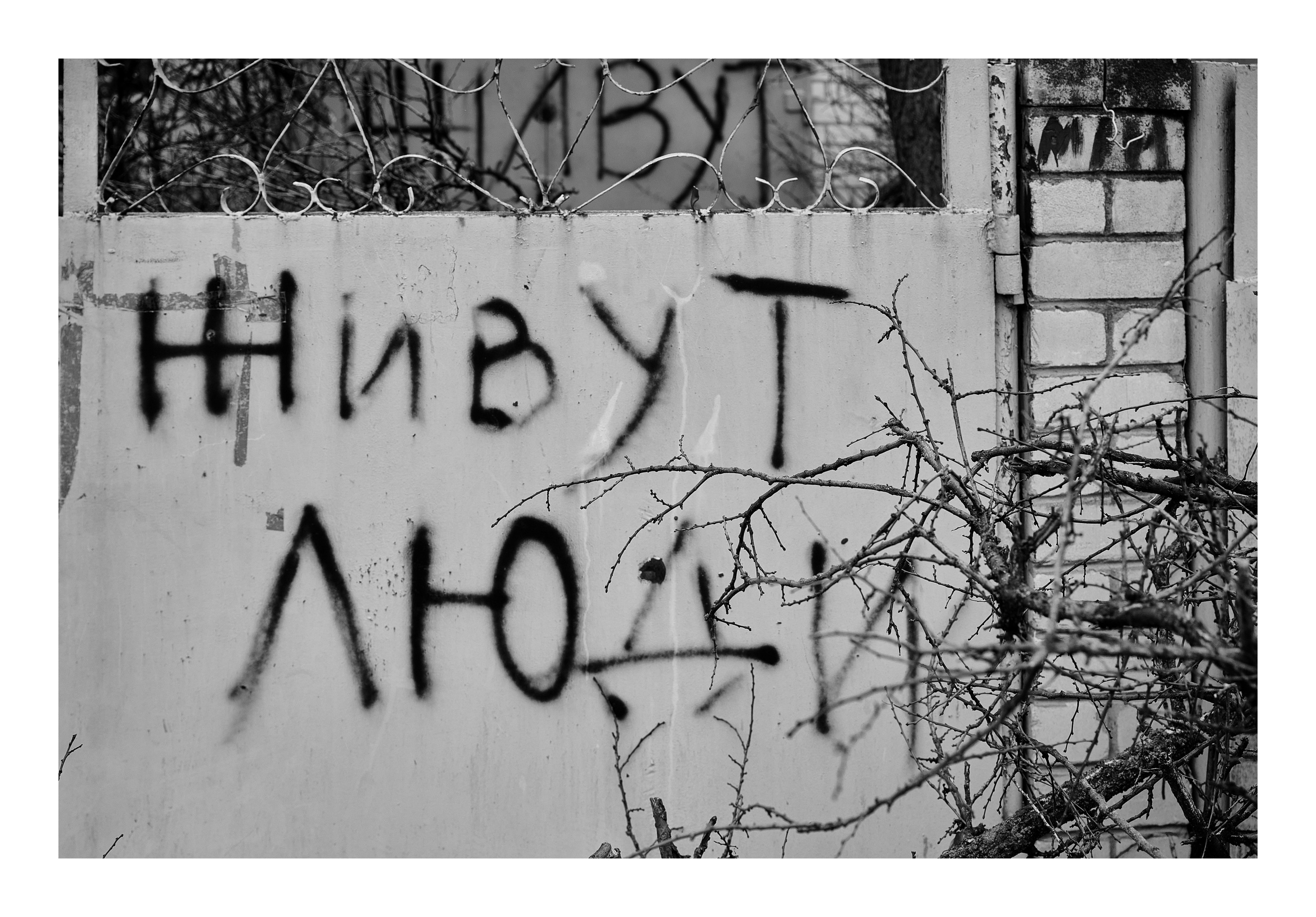 Фотопринты А3. Фотопроект «Территории»