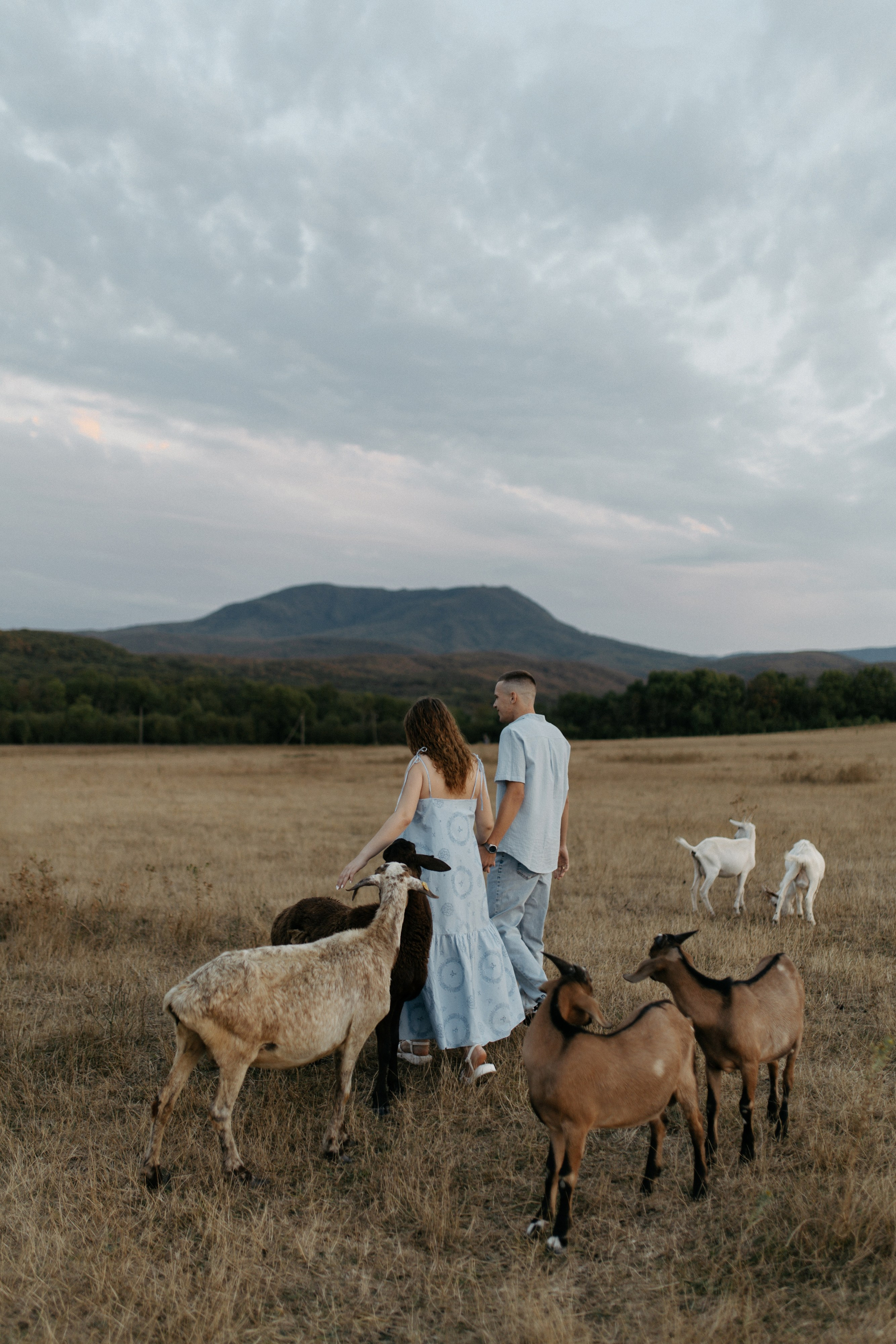 София и Дамир. Свадебный и семейный фотограф в Краснодаре/Геленджике/Сочи/Санкт-Петербурге
