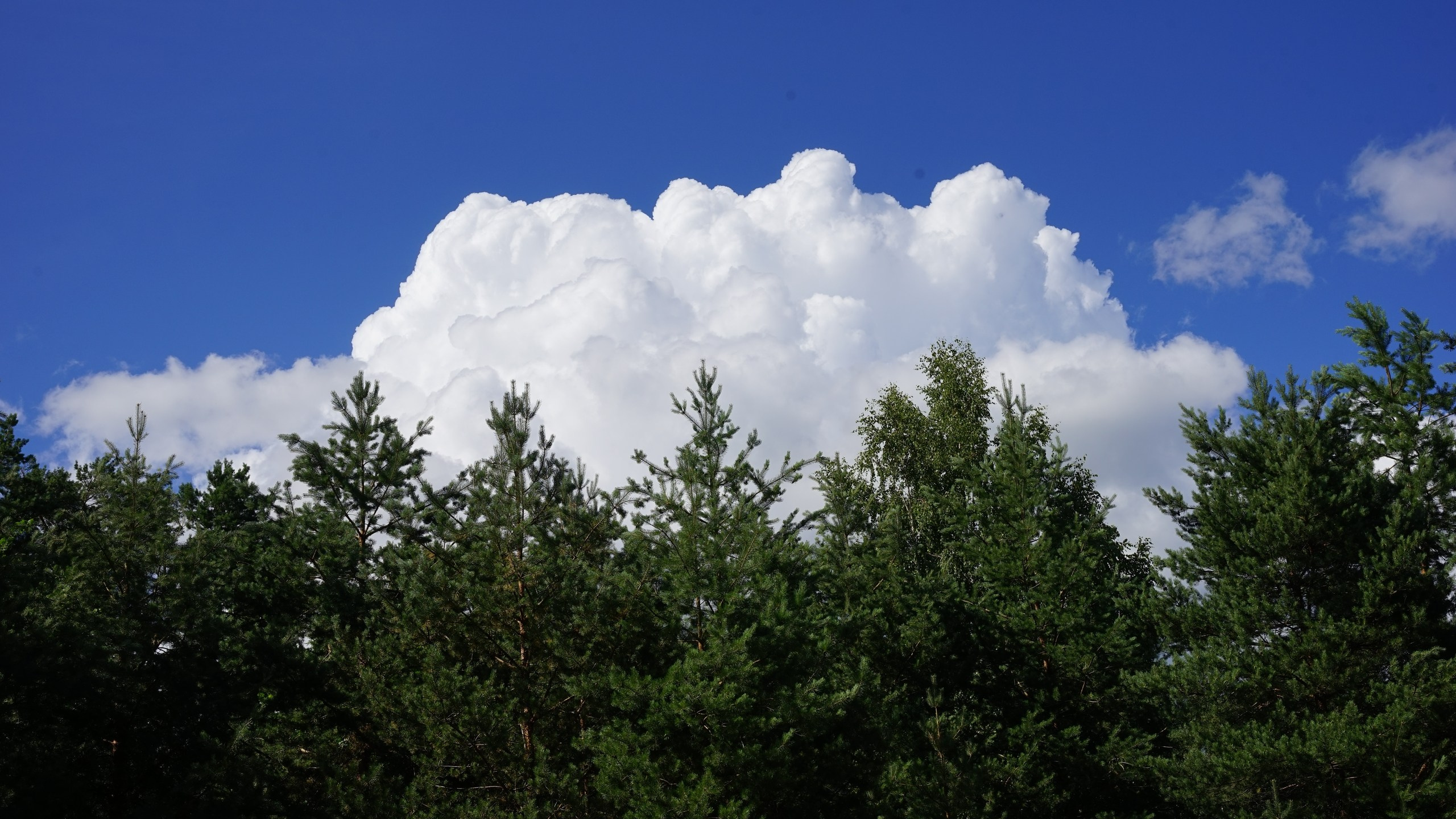 Походная Романтика 39. Фрайдэй Луксури Вилладж | 2022. Галерея Фантим