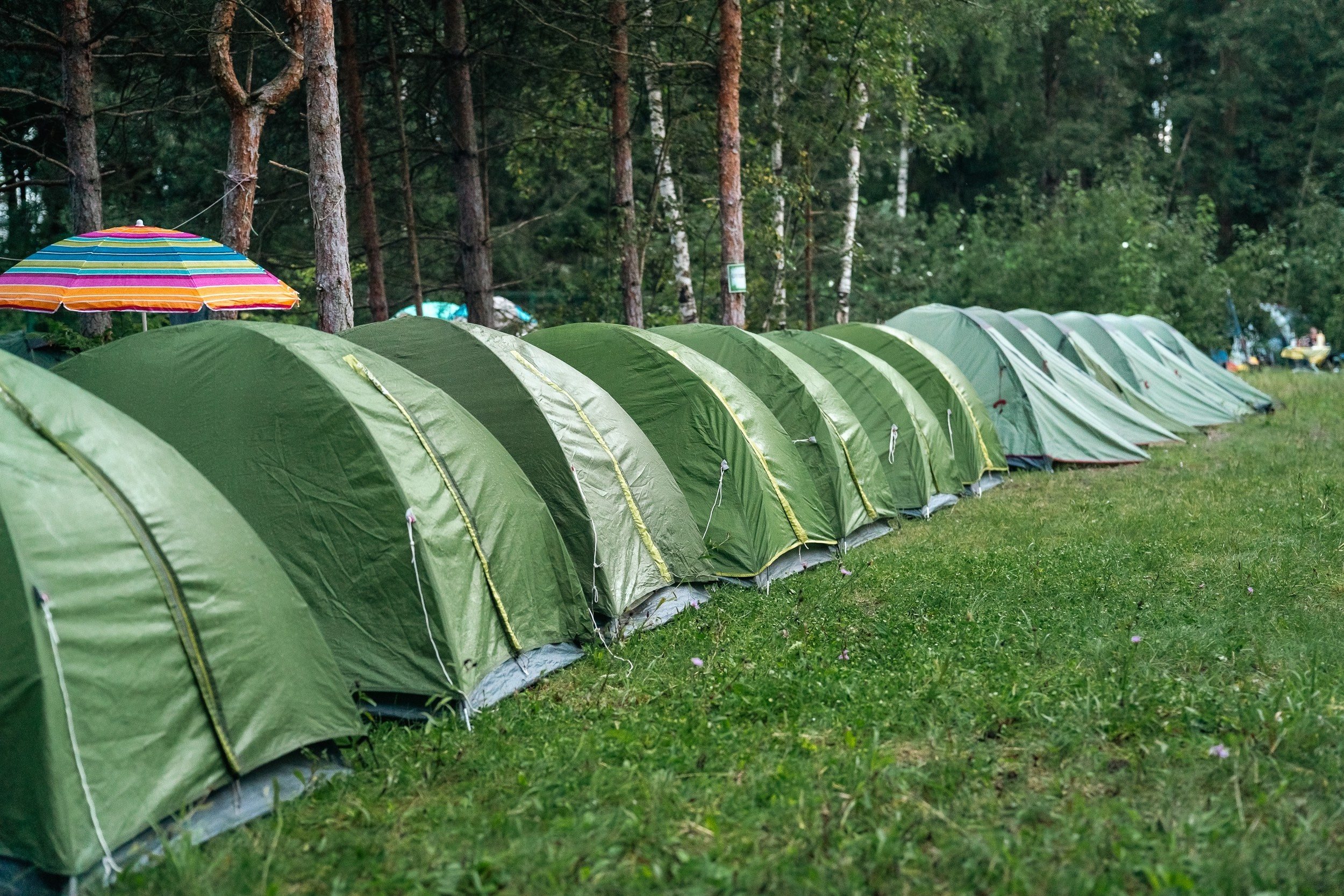 Походная Романтика 50. Новый год и не ипёт… | 2025. Галерея Фантим