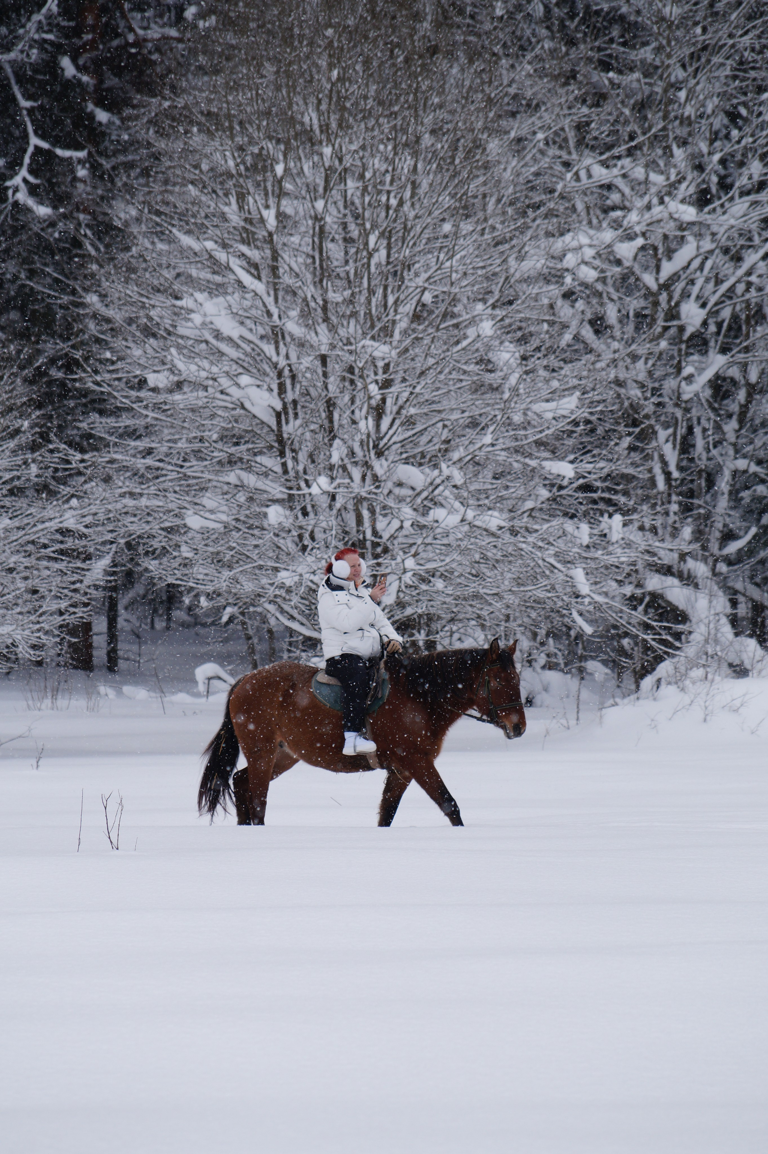 Лошадинг | 11.01.2026. Галерея Фантим