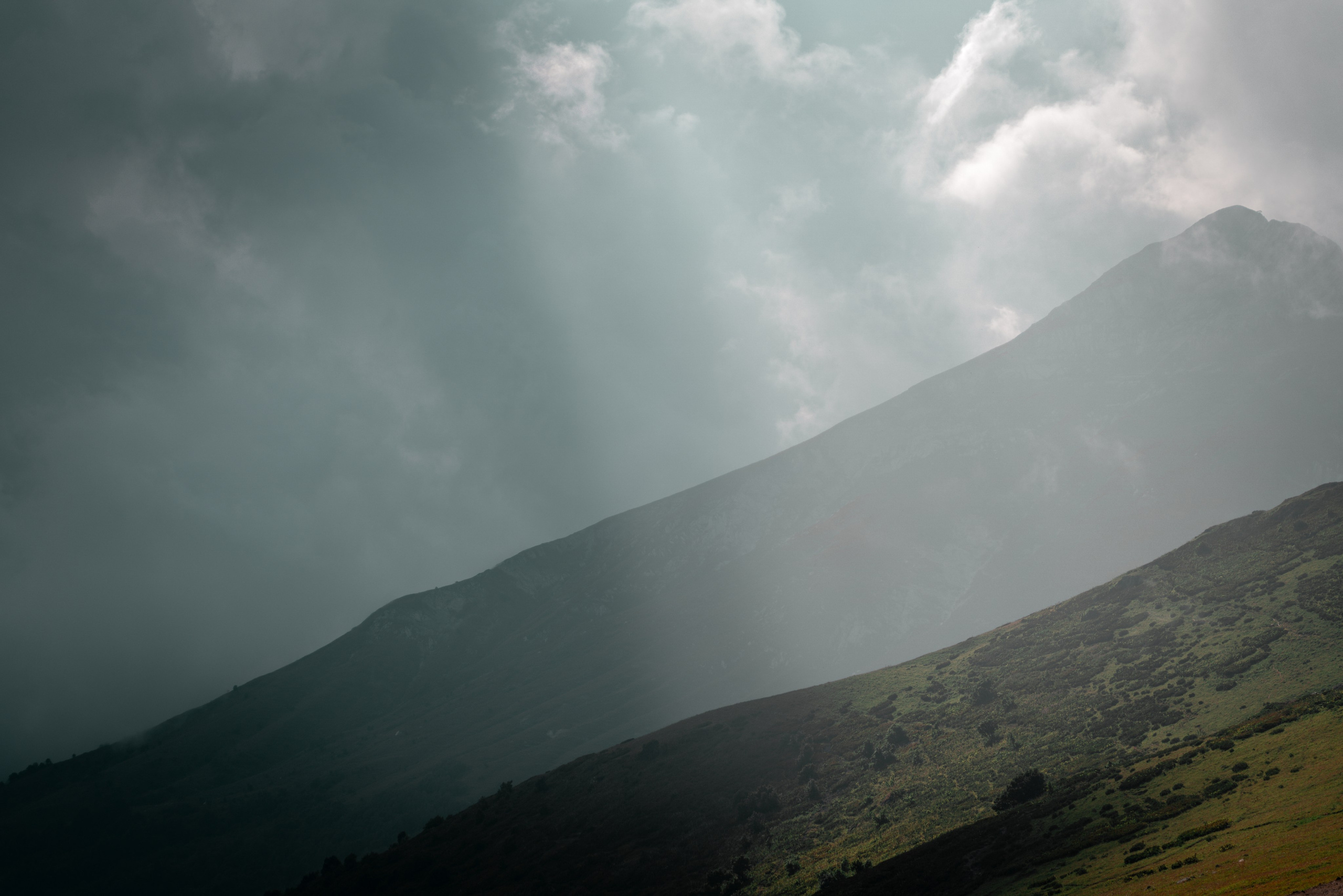 Сочи. Фотограф Александра Волкова | Волгоград