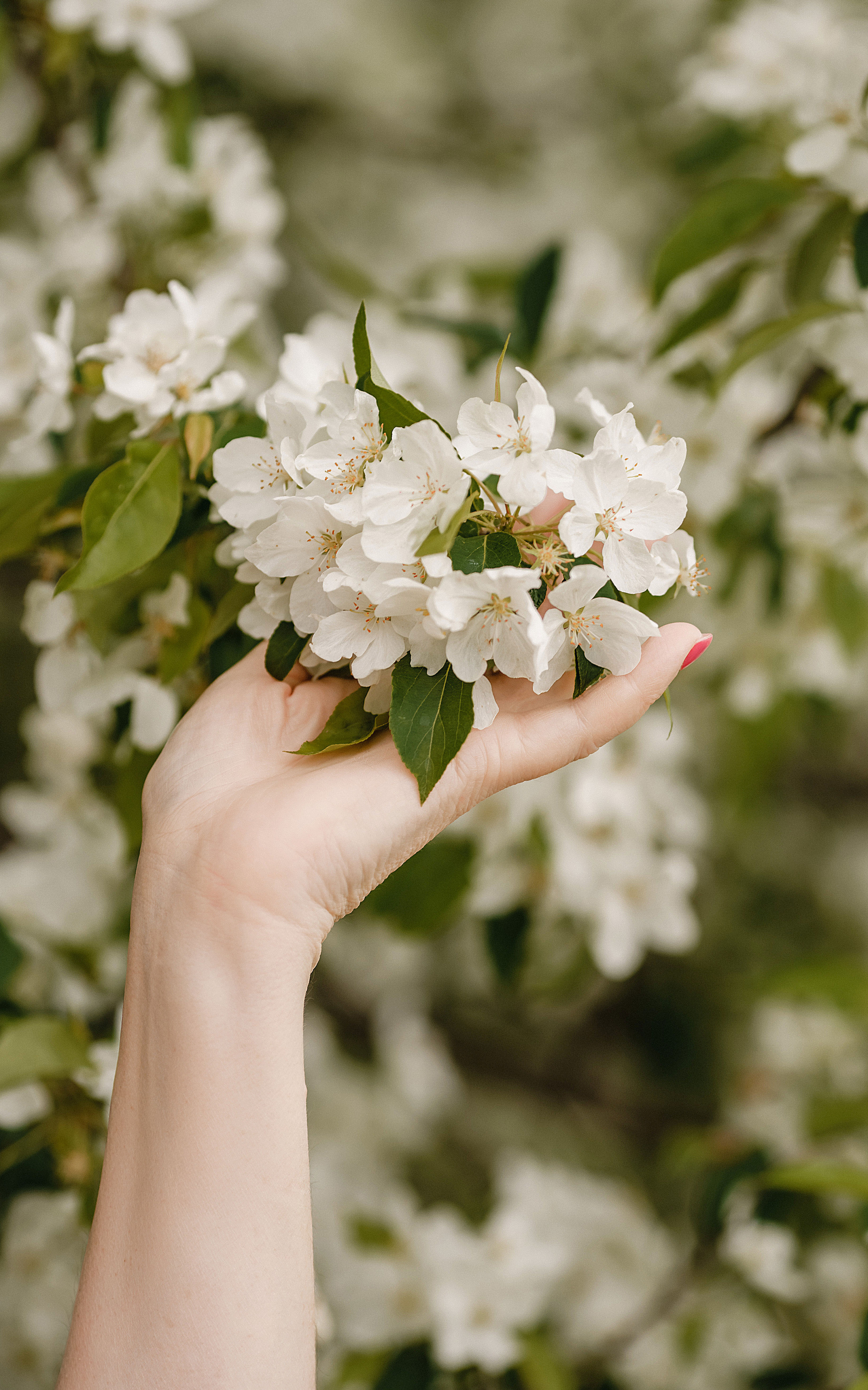 Весеннее тепло. Фотограф Lifestyle в Хабаровске, Владивостоке Землякова Елена