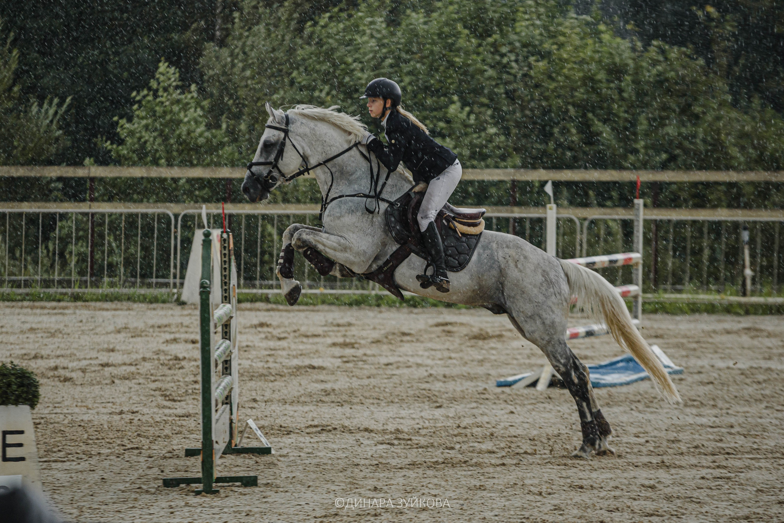 Конные соревнования по конкуру в Нижнем Новгороде