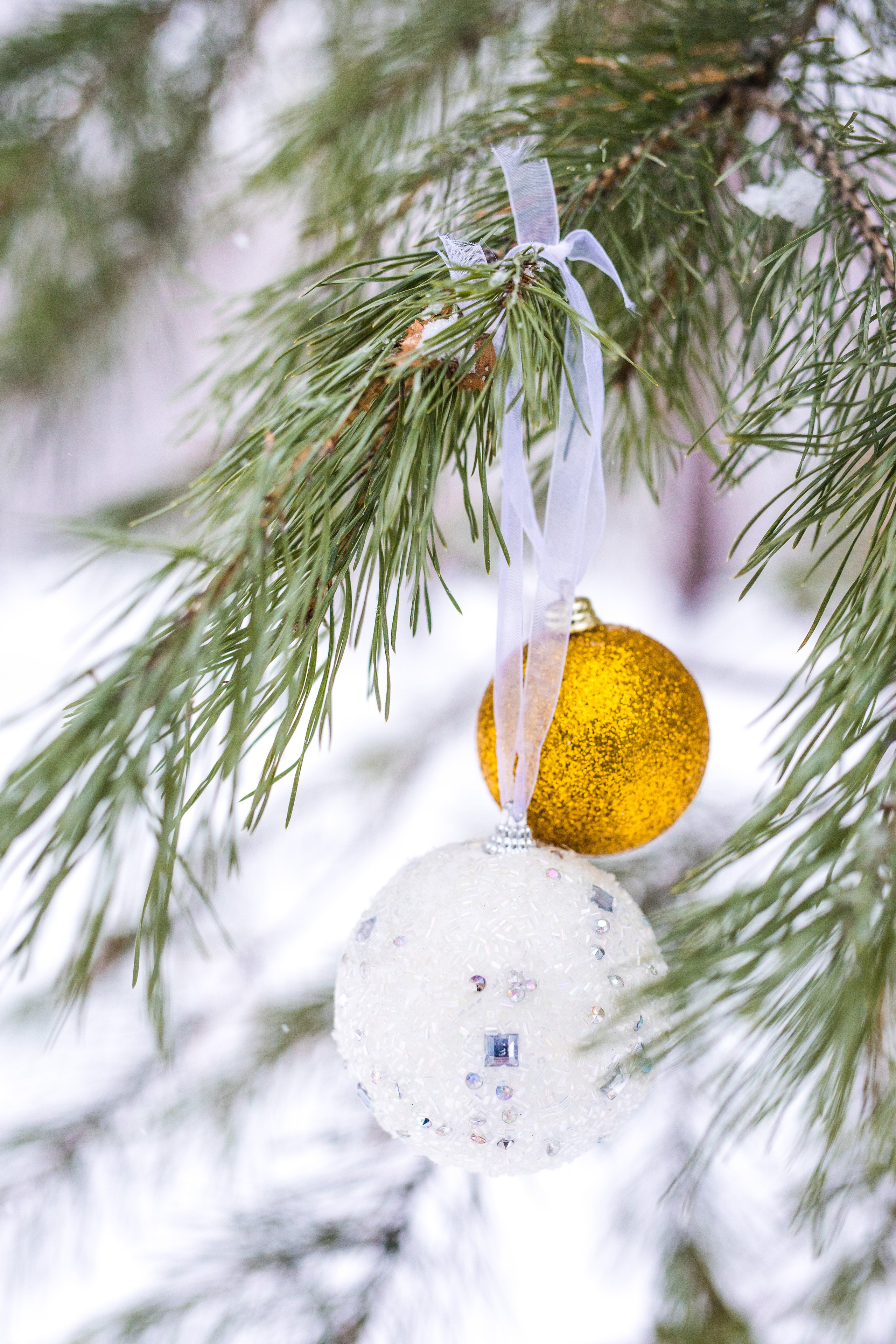 Семья Глуховых. Фотограф Анастасия Петрова