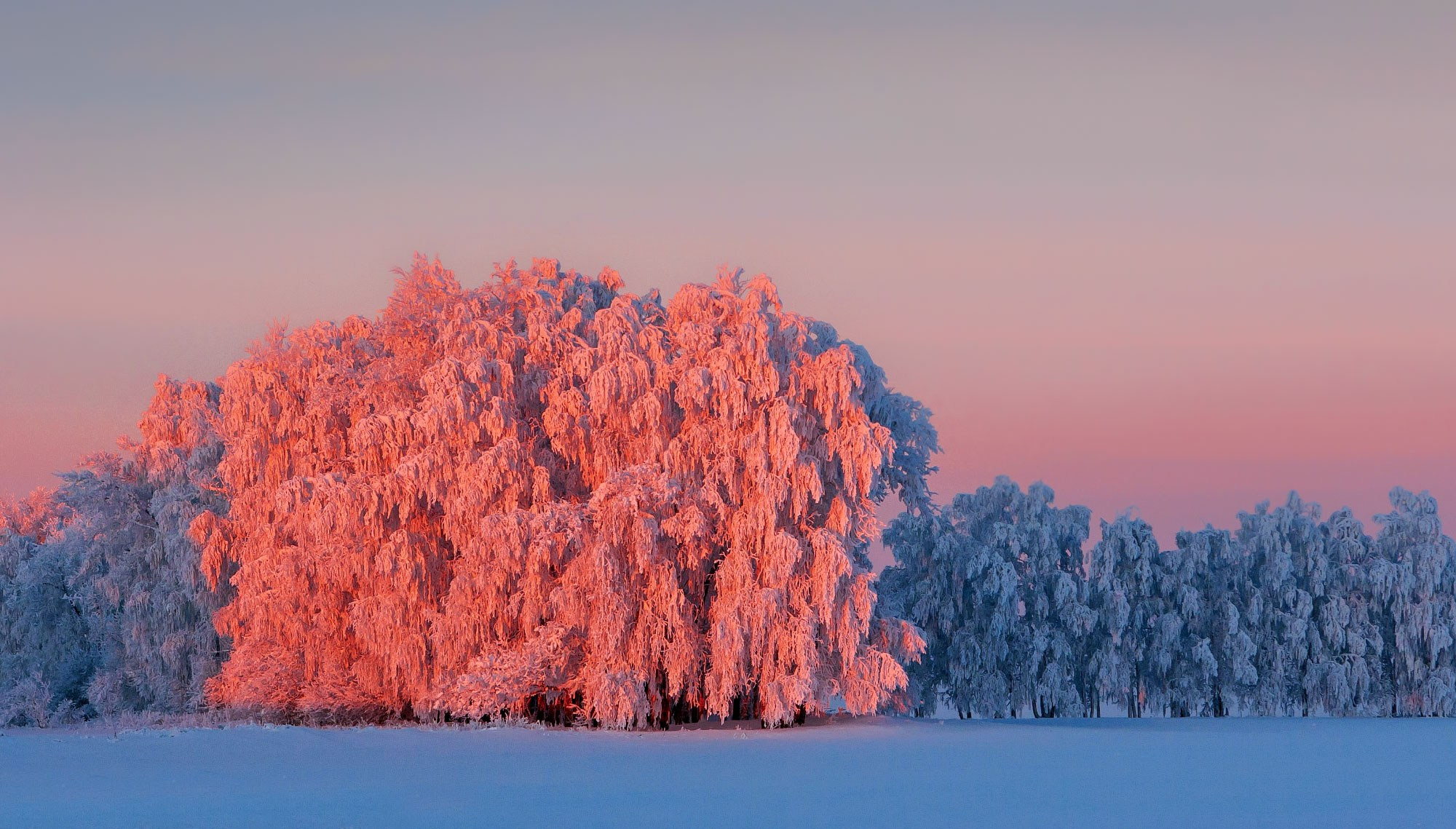 Свадебный фотограф в Геленджике