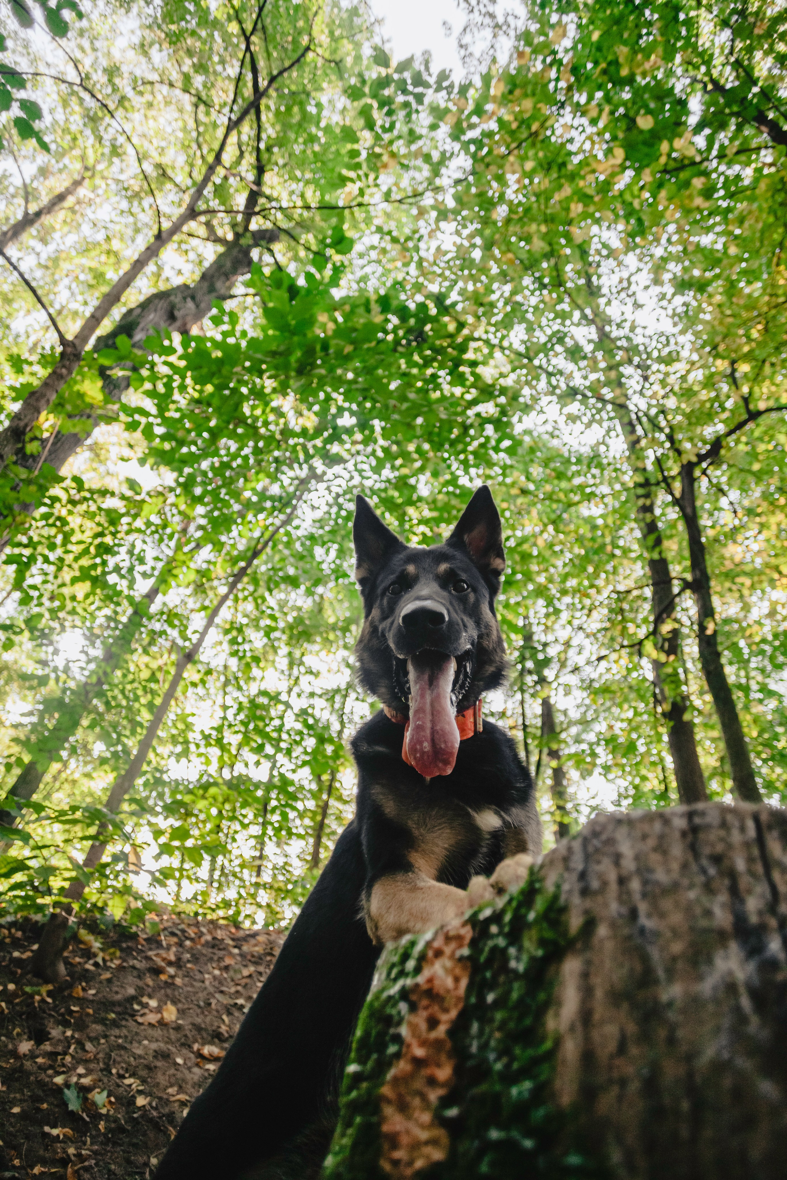 Илай. Фотограф-анималист Татьяна Степанова