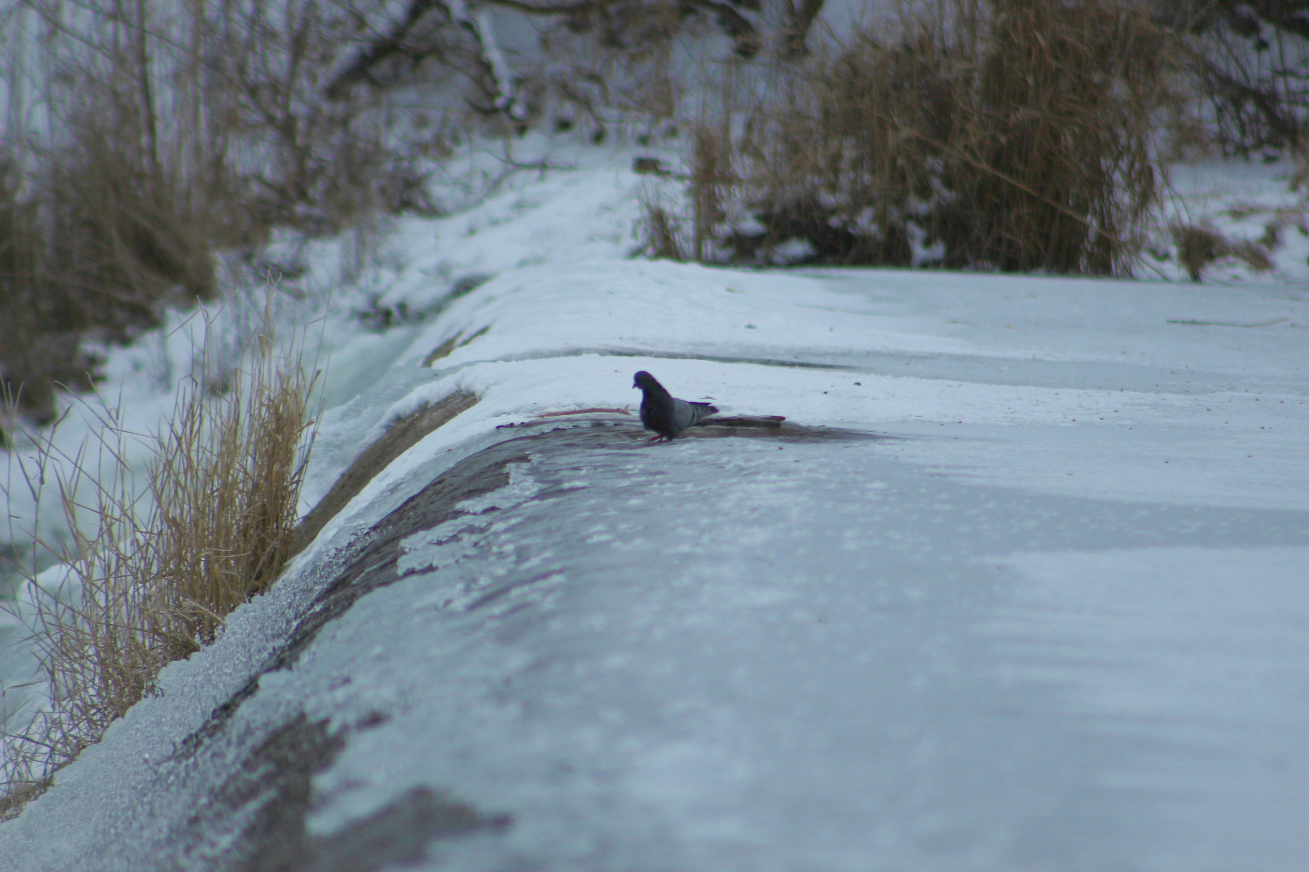 Пейзажи. Фотограф из Донецка Александр Турко
