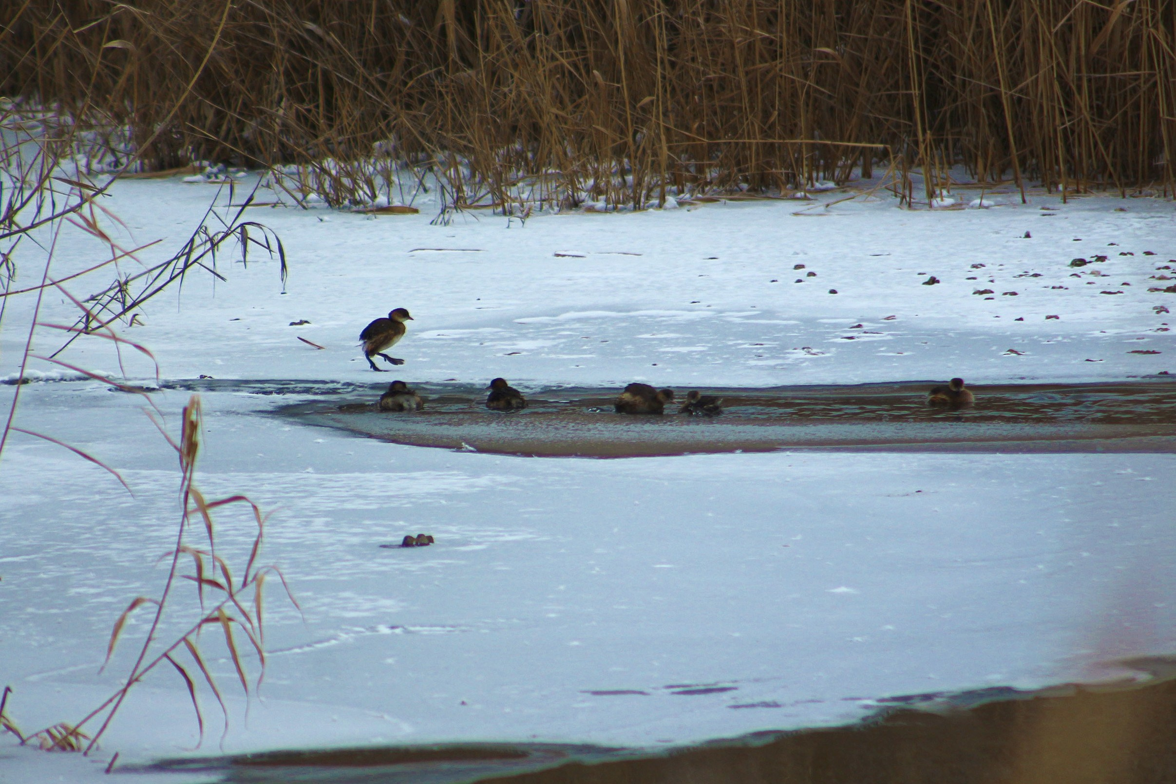Пейзажи. Фотограф из Донецка Александр Турко
