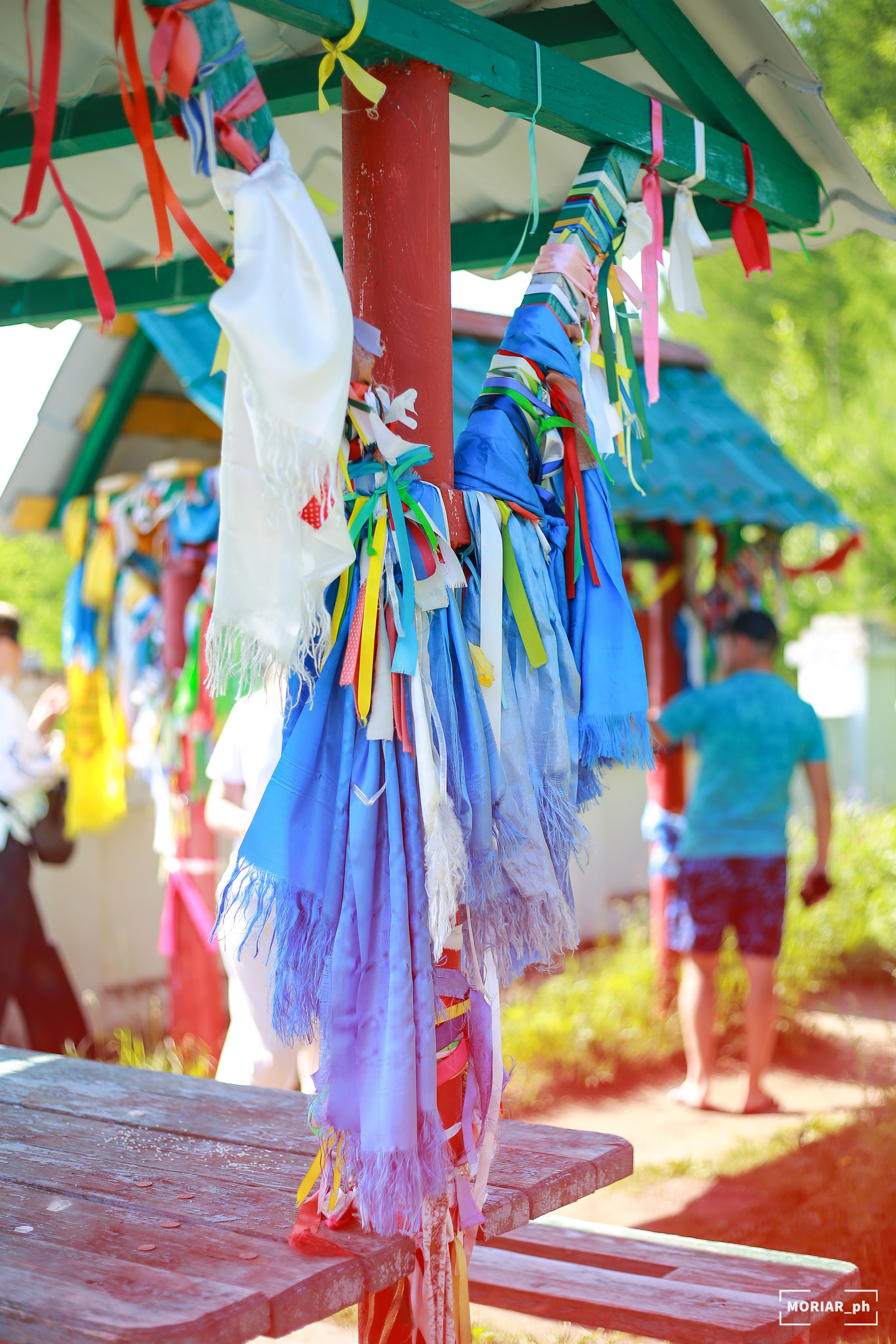Отпуск. Портретный и репортажный фотограф в Кемерово Алексеева Анастасия