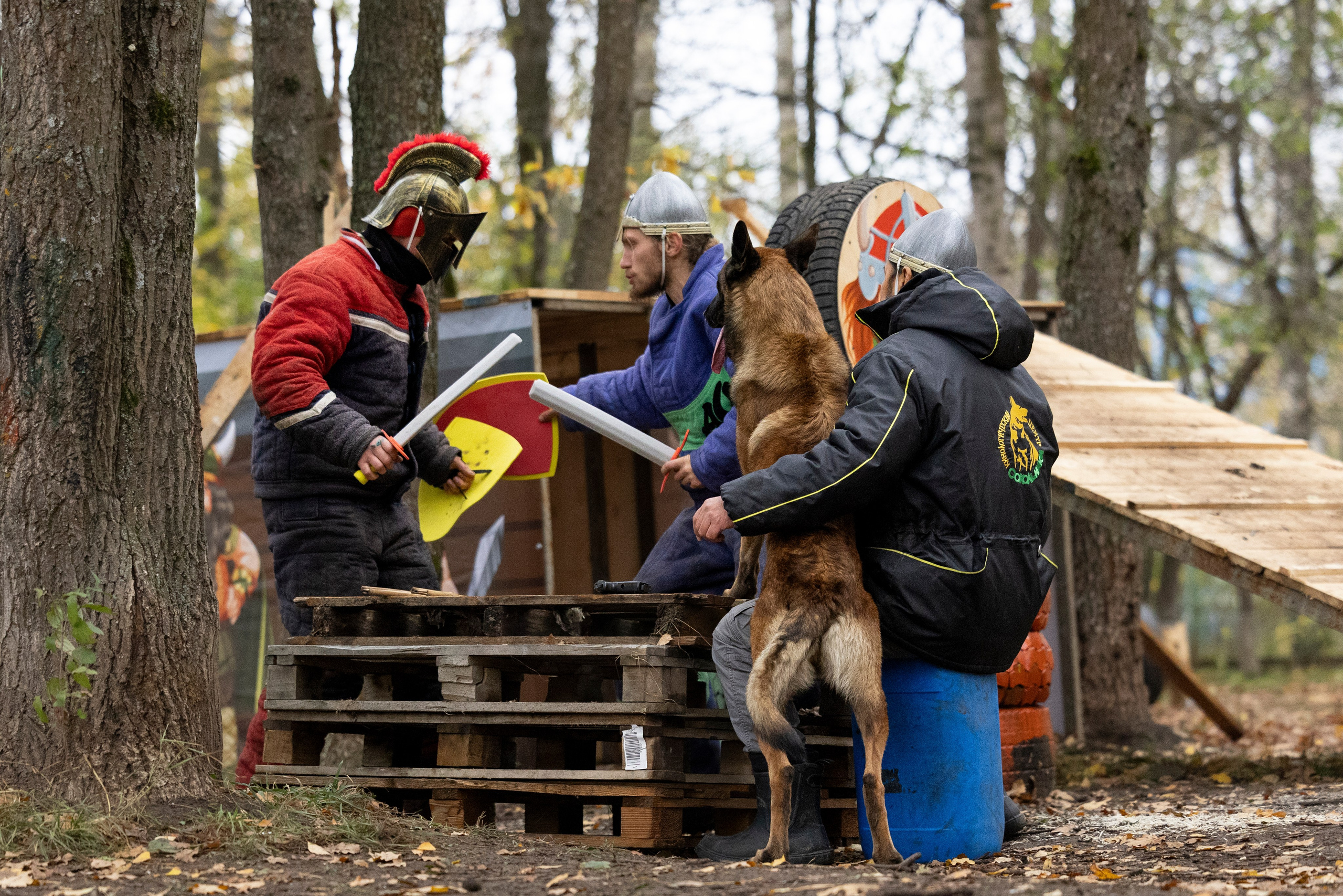 Соревнования по Мондьорингу г. Вологда. Фотограф-анималист Анна Маринич