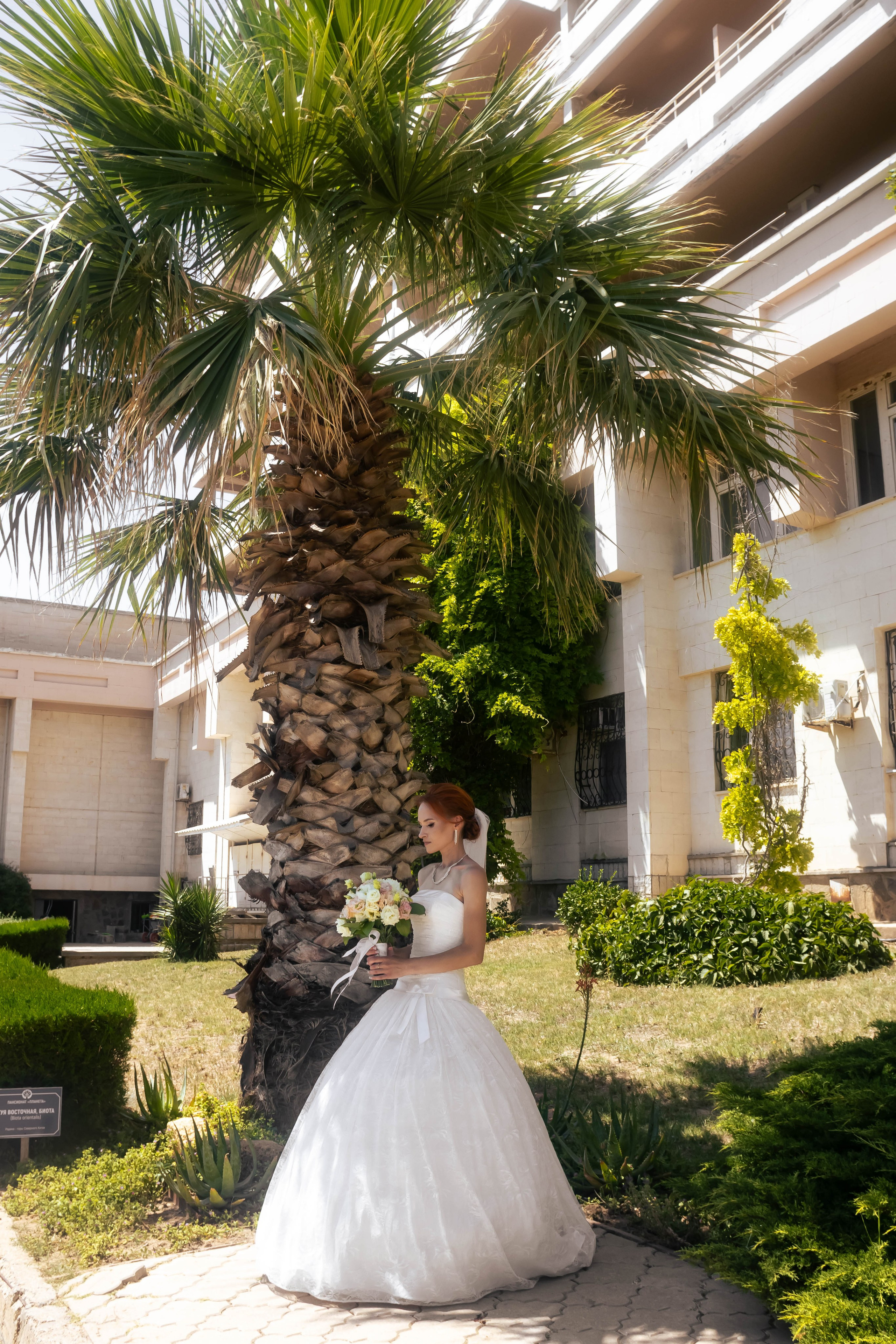 Саки. Фотограф и видеооператор (видеограф) в Евпатории и в Крыму