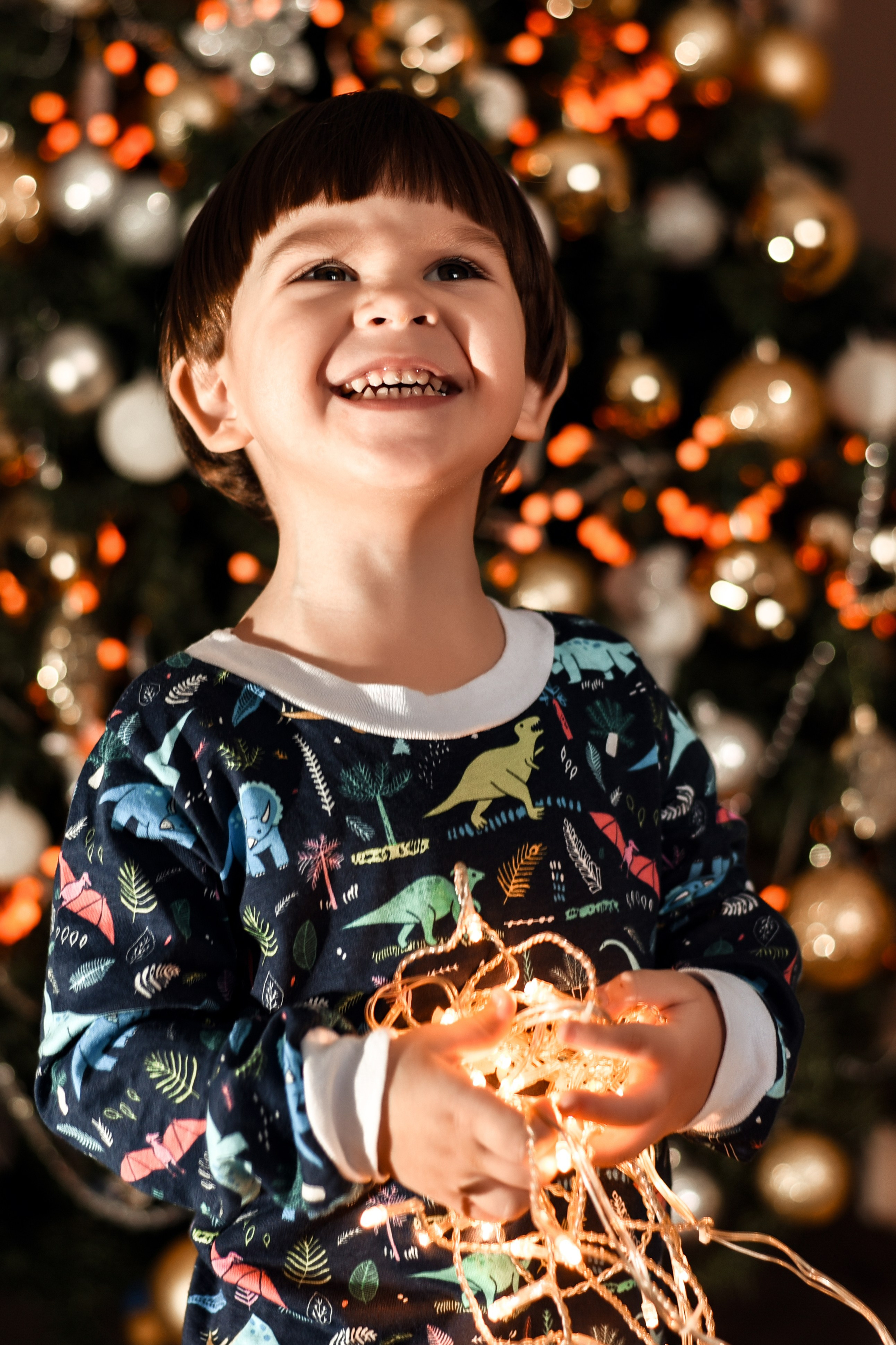 Домашняя новогодняя. Свадебный, семейный, детский, контент фотограф в Омске Максим Ильин