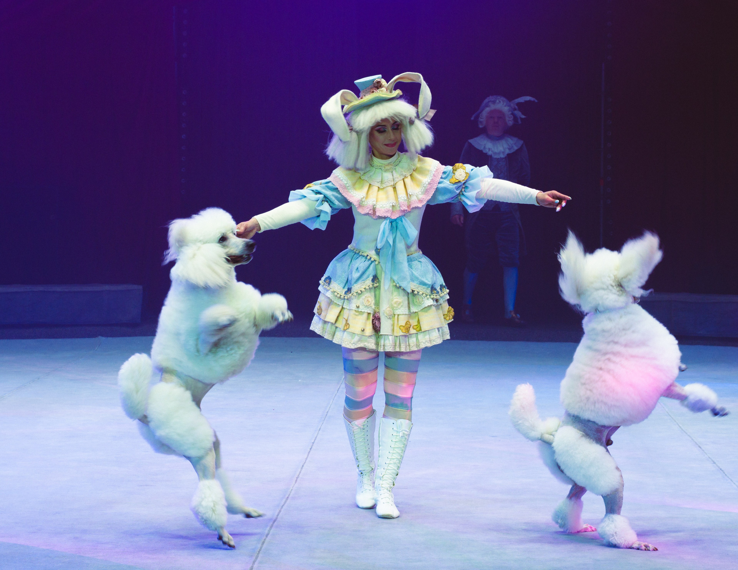 Circus. Фотограф в Москве Шалышко Ангелина